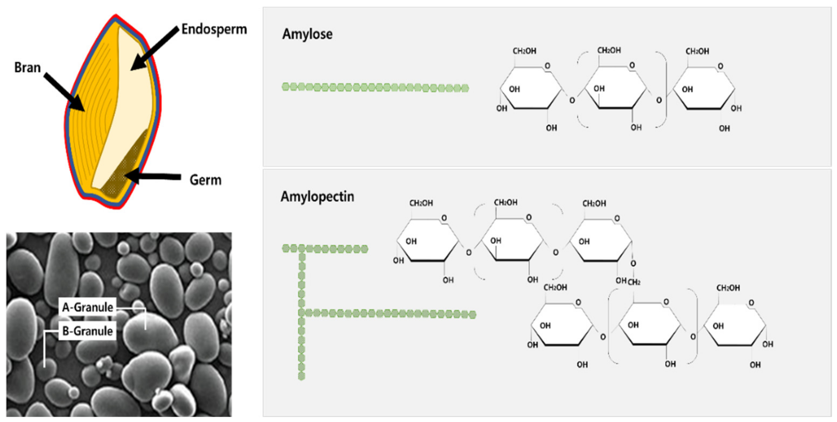 Plants 10 02282 g002
