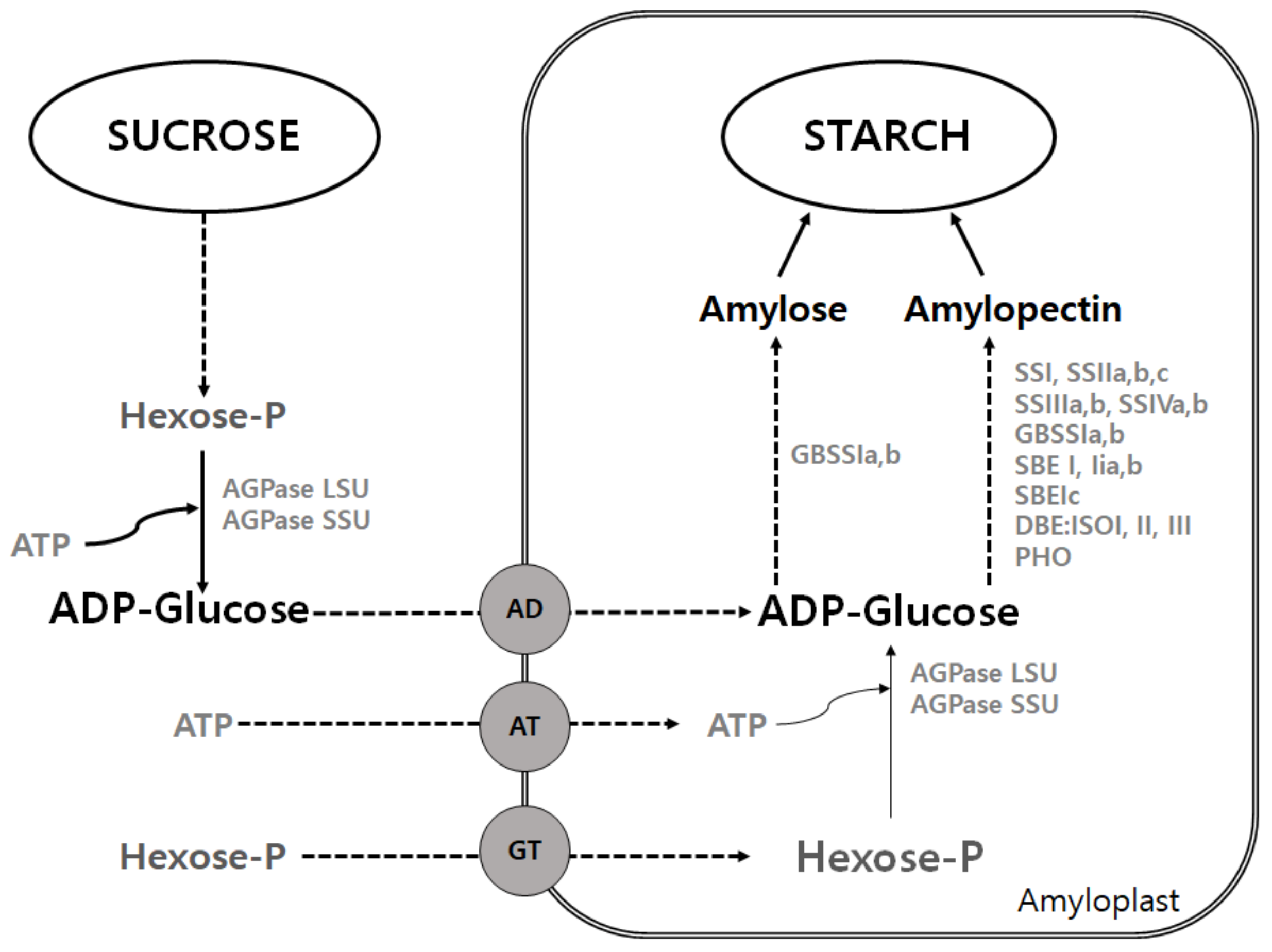 Plants 10 02282 g003