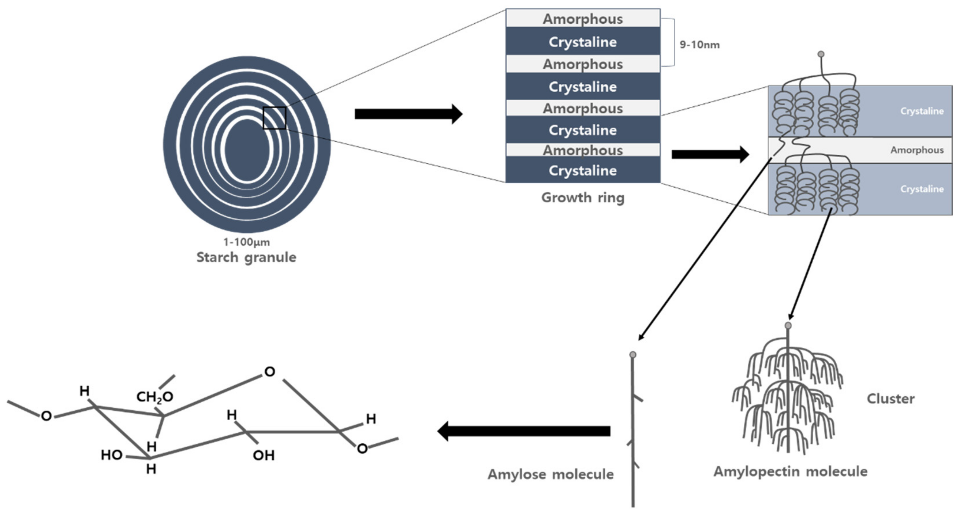 Plants 10 02282 g004