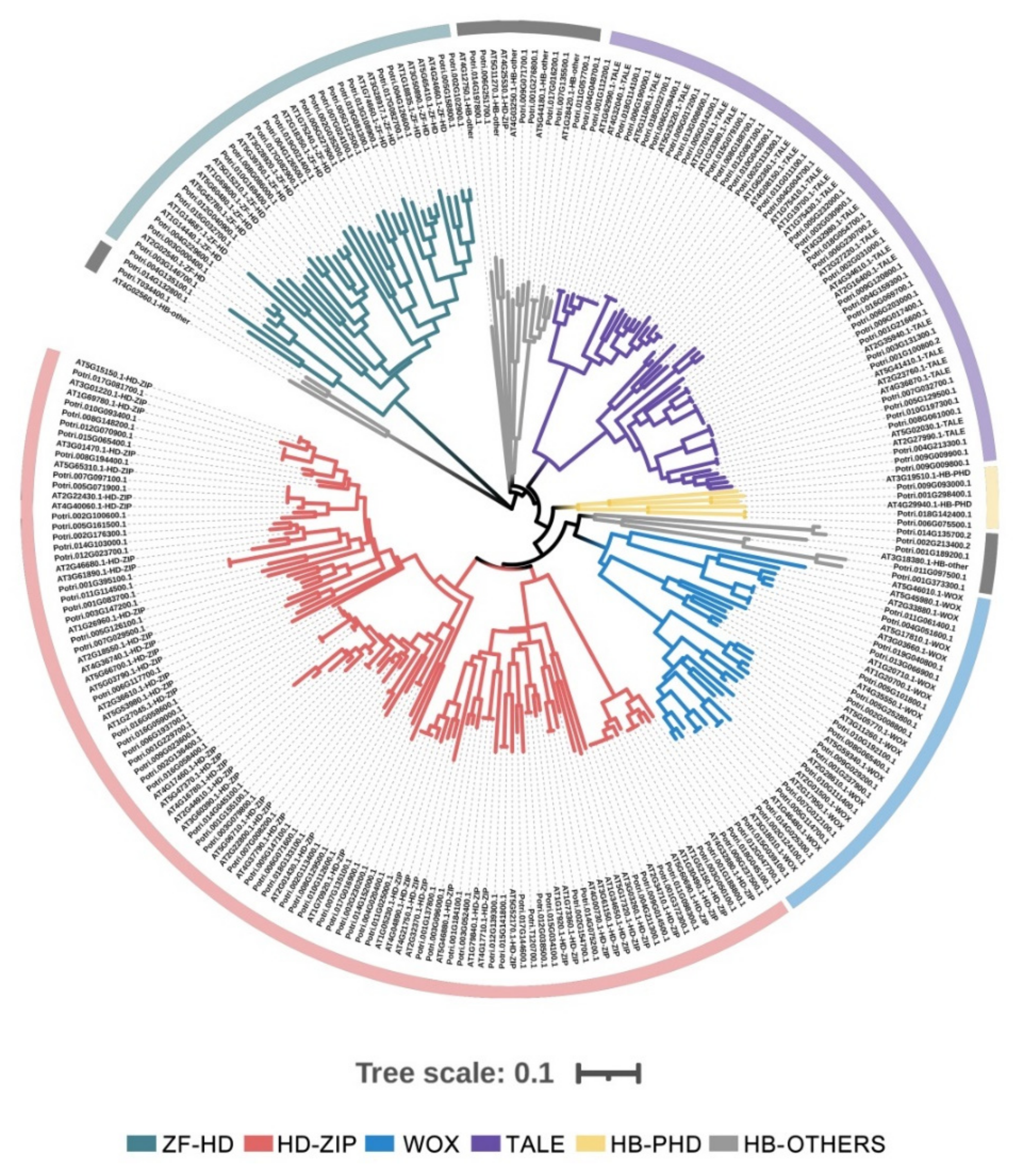 Plants 10 02284 g001