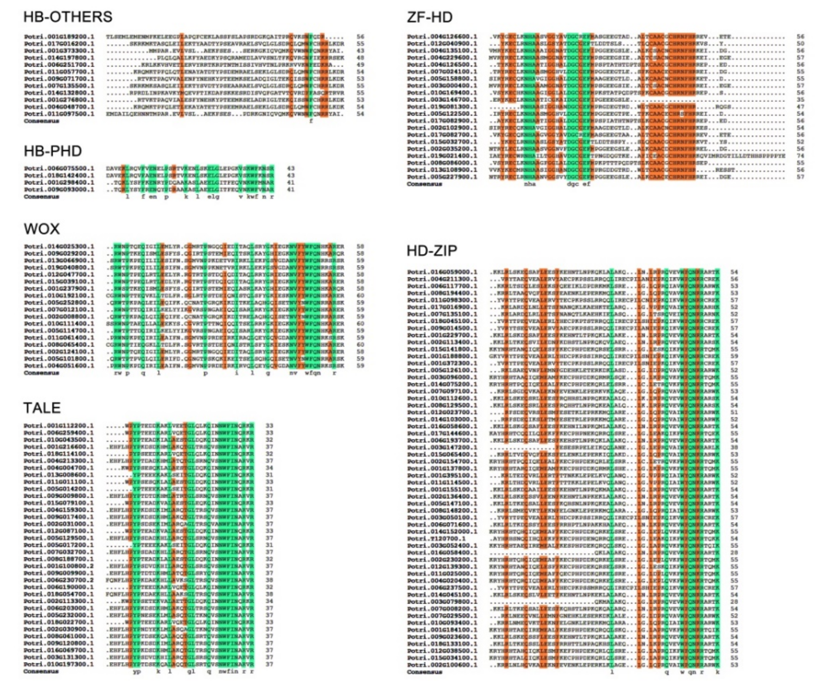 Plants 10 02284 g002
