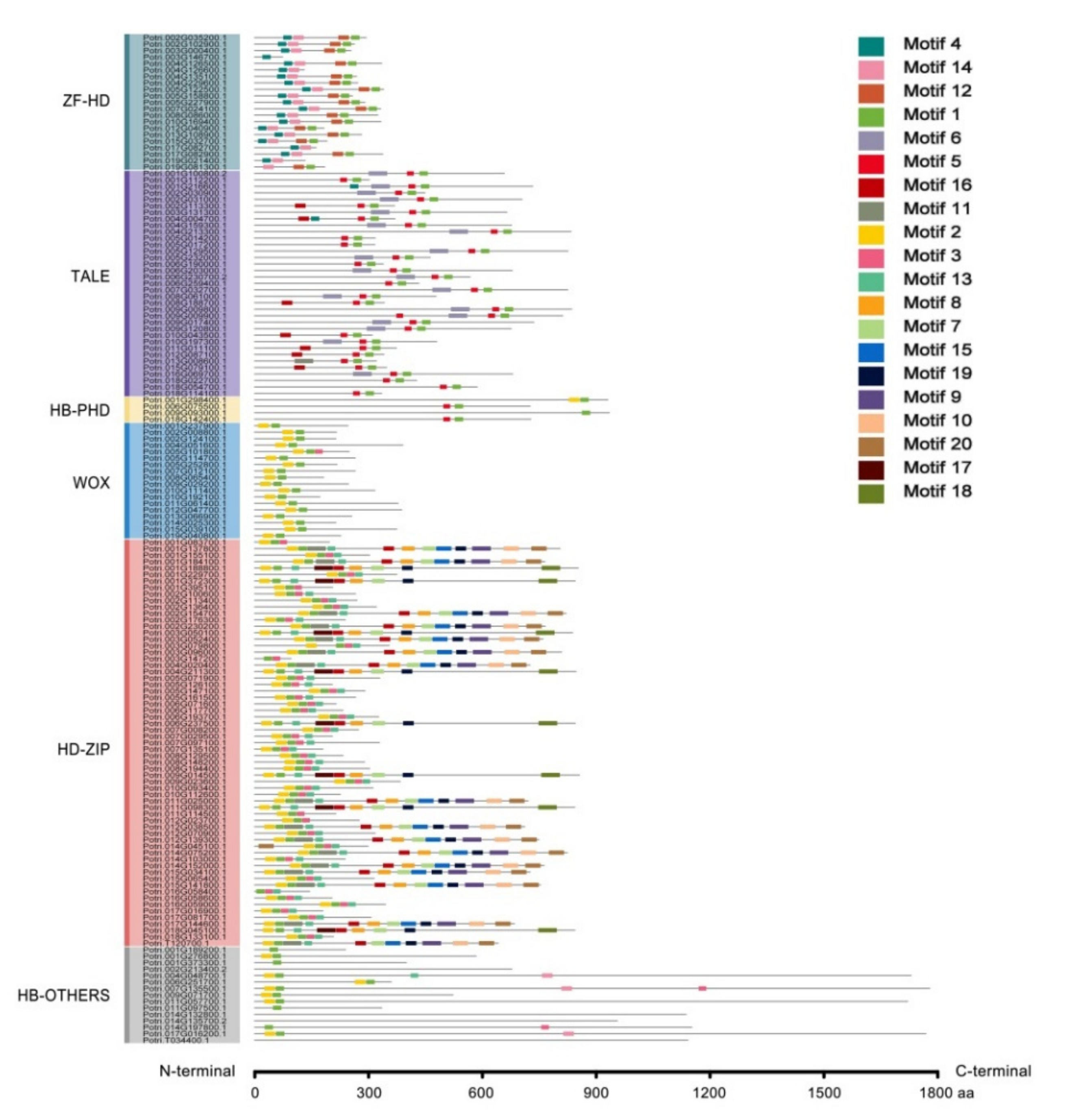 Plants 10 02284 g003