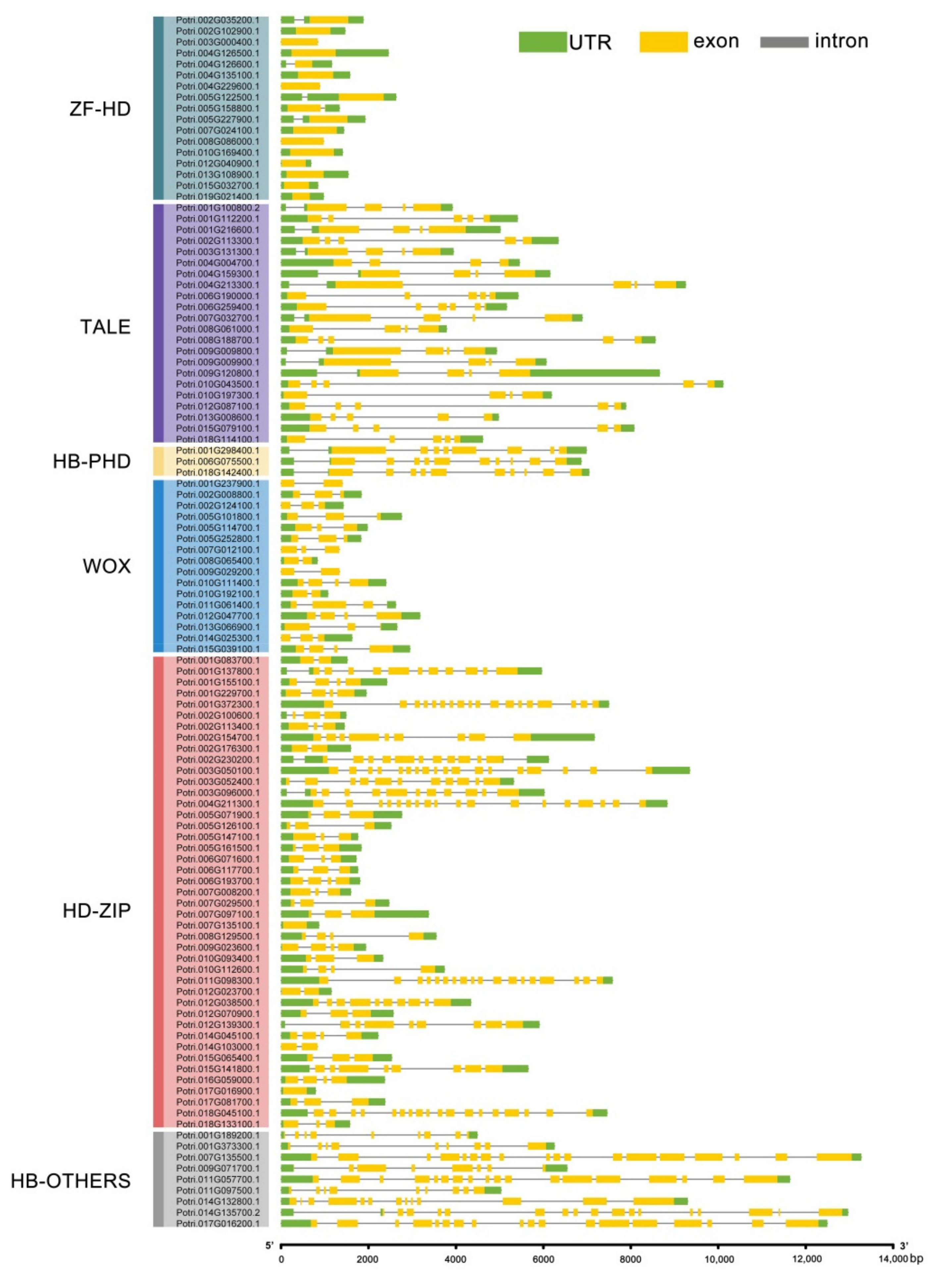 Plants 10 02284 g004
