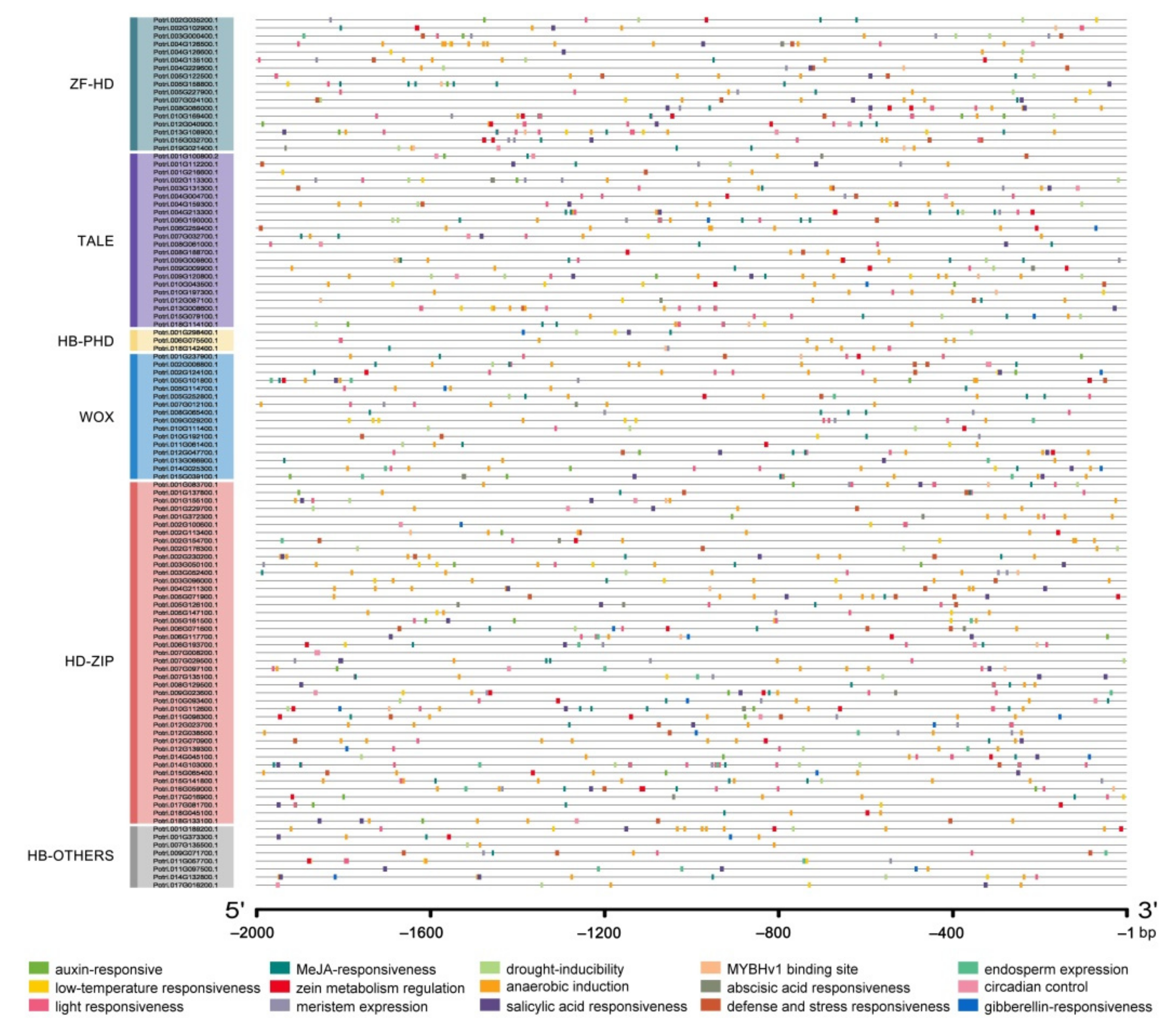 Plants 10 02284 g005