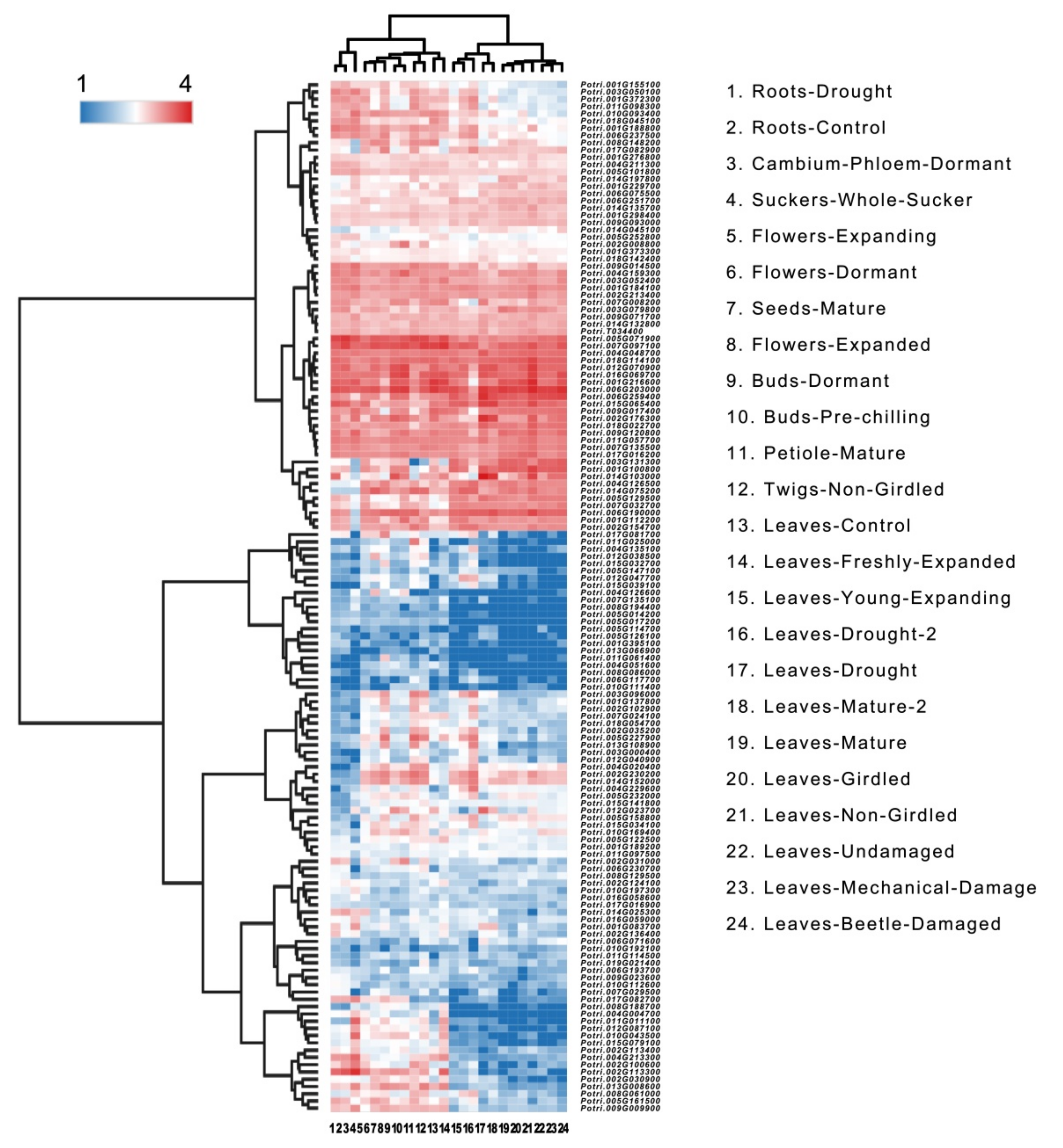 Plants 10 02284 g007