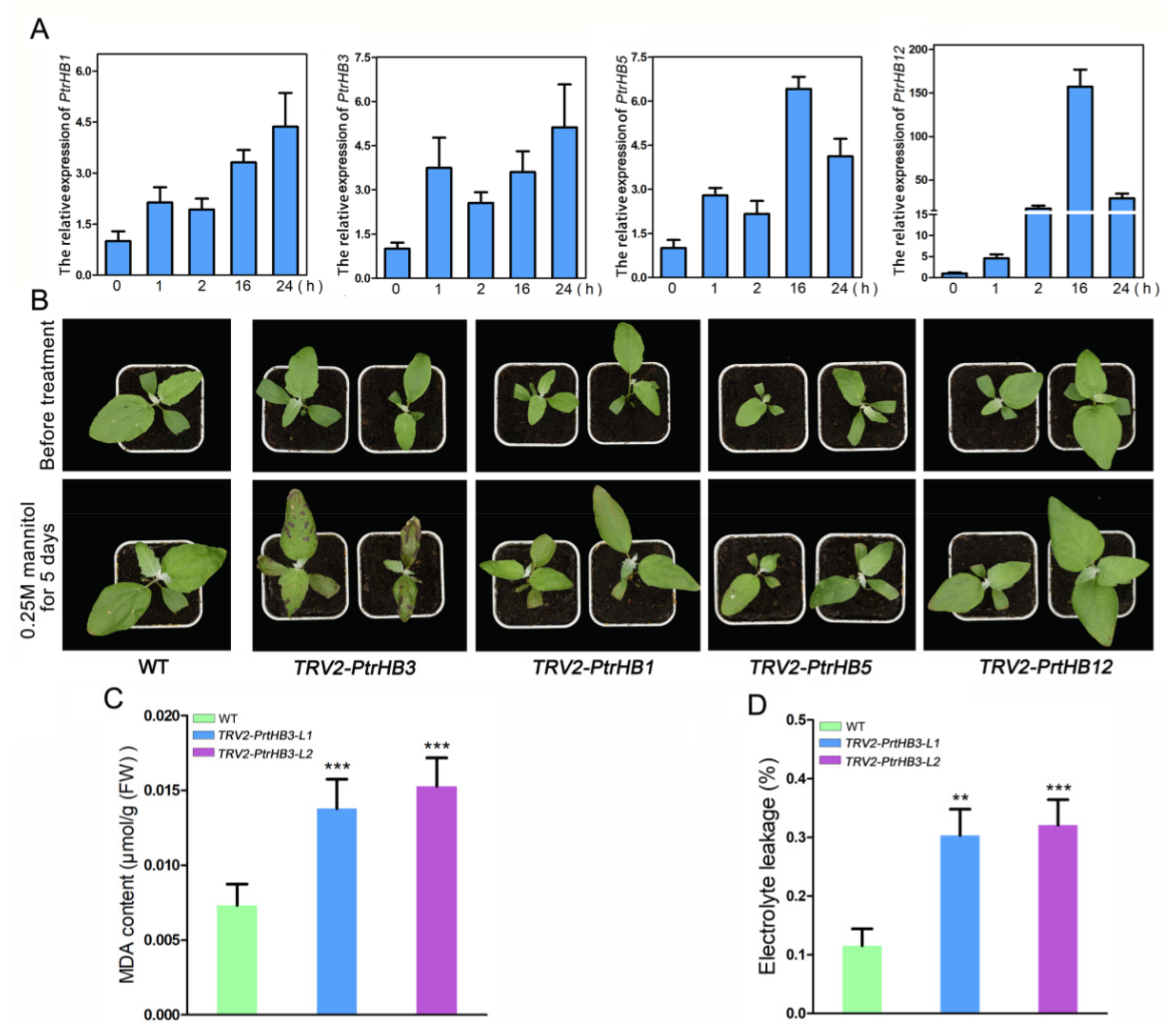 Plants 10 02284 g008