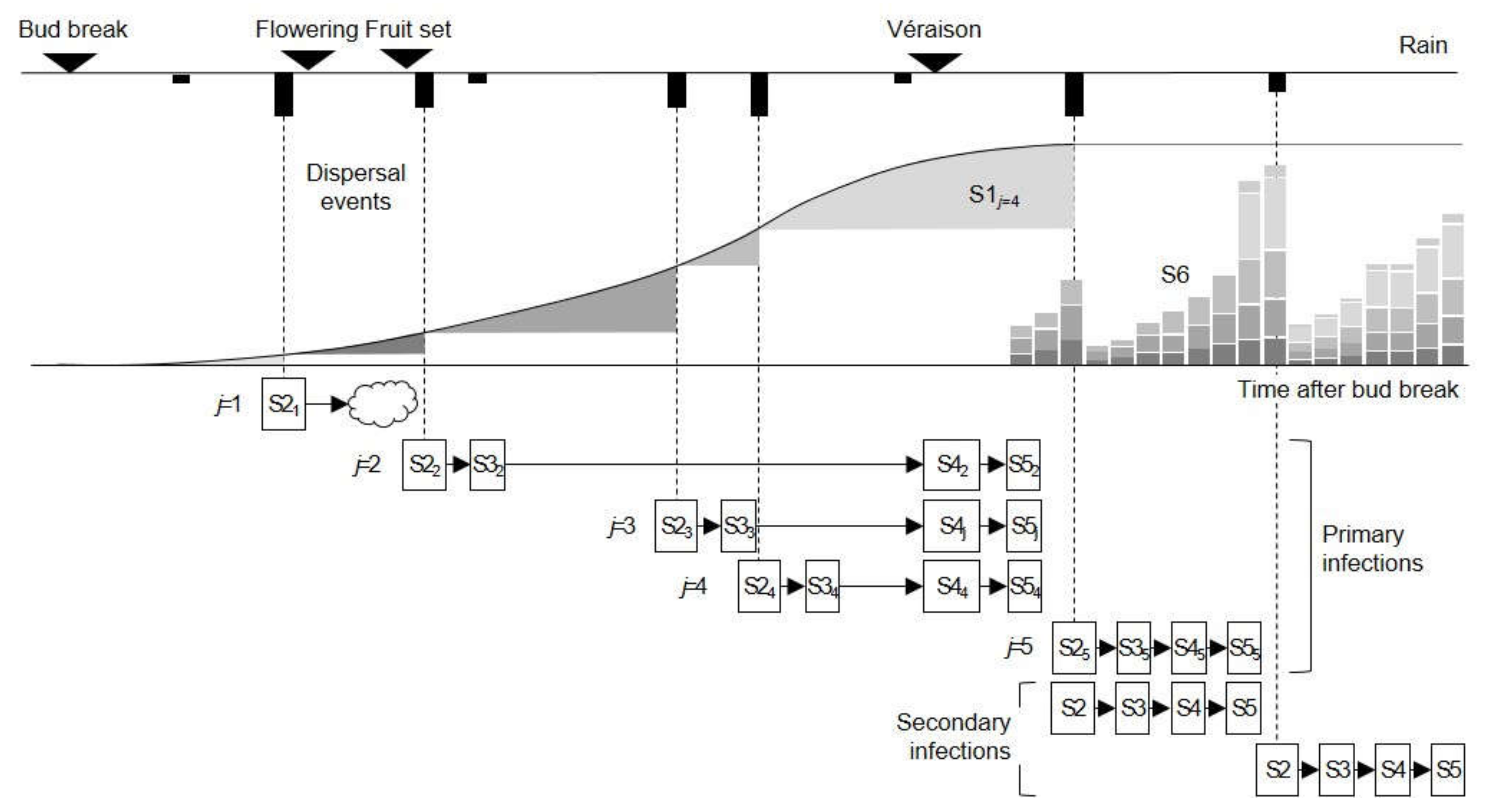 Plants 10 02288 g003