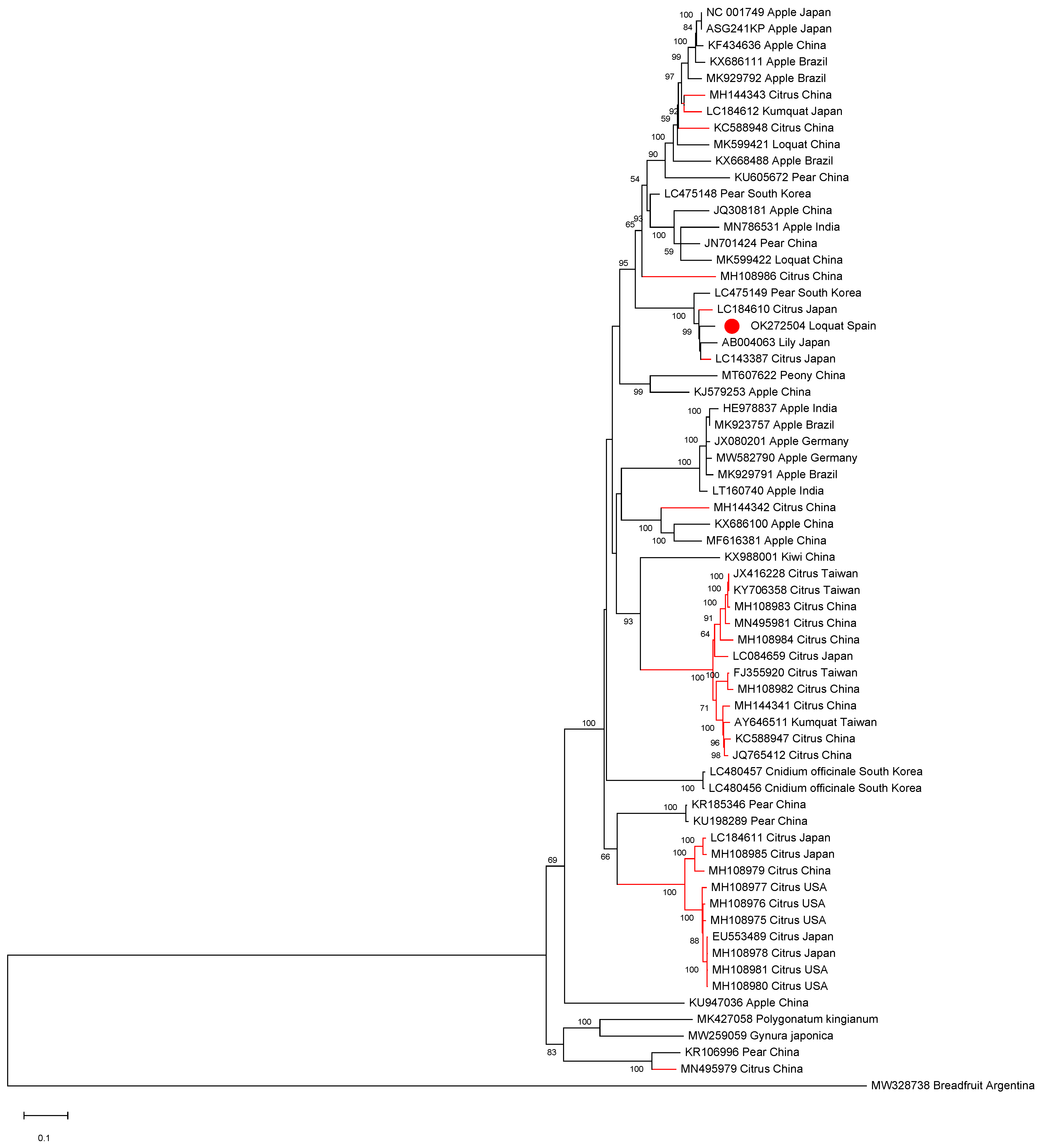 Plants 10 02293 g002