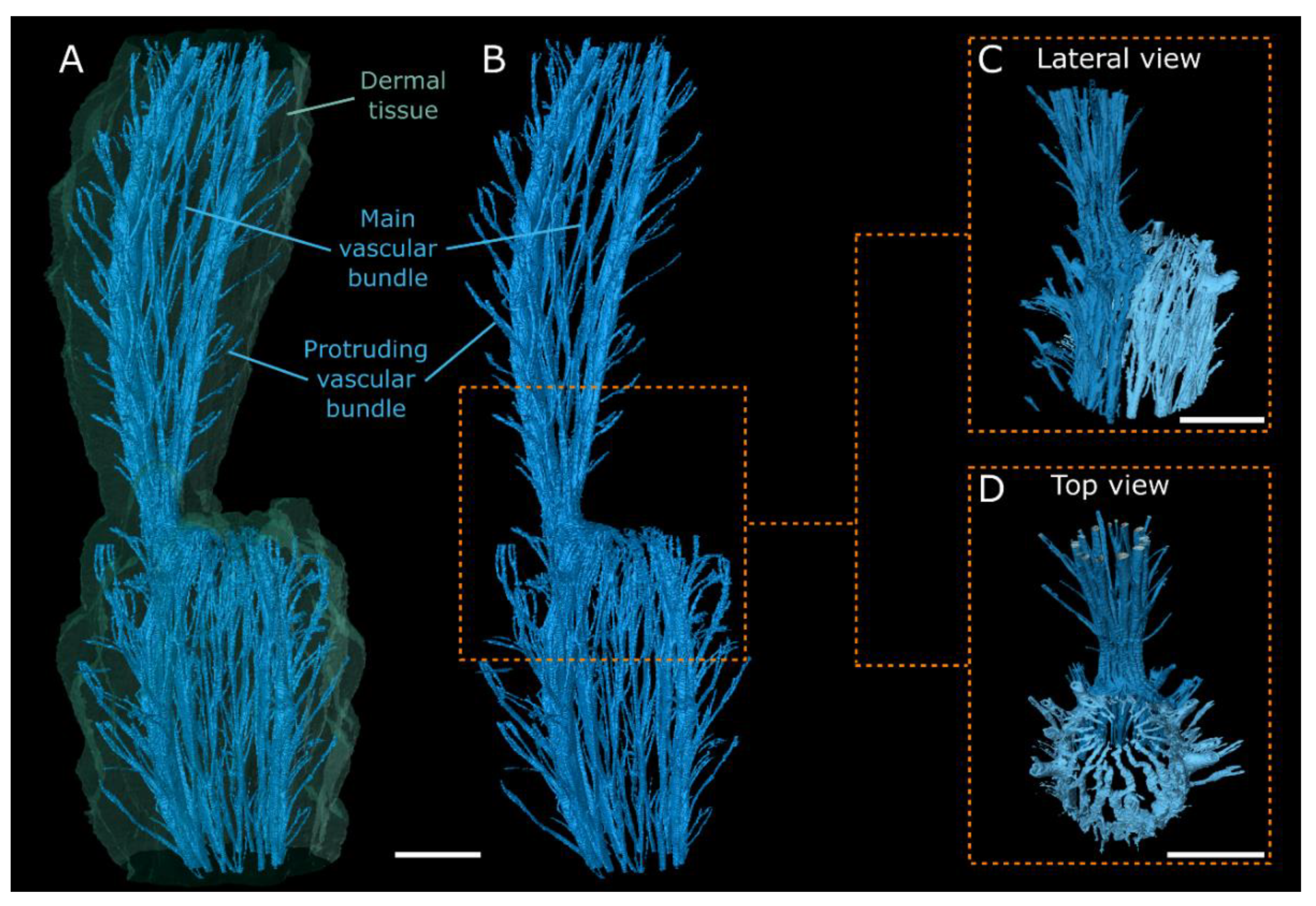 Plants 10 02313 g004