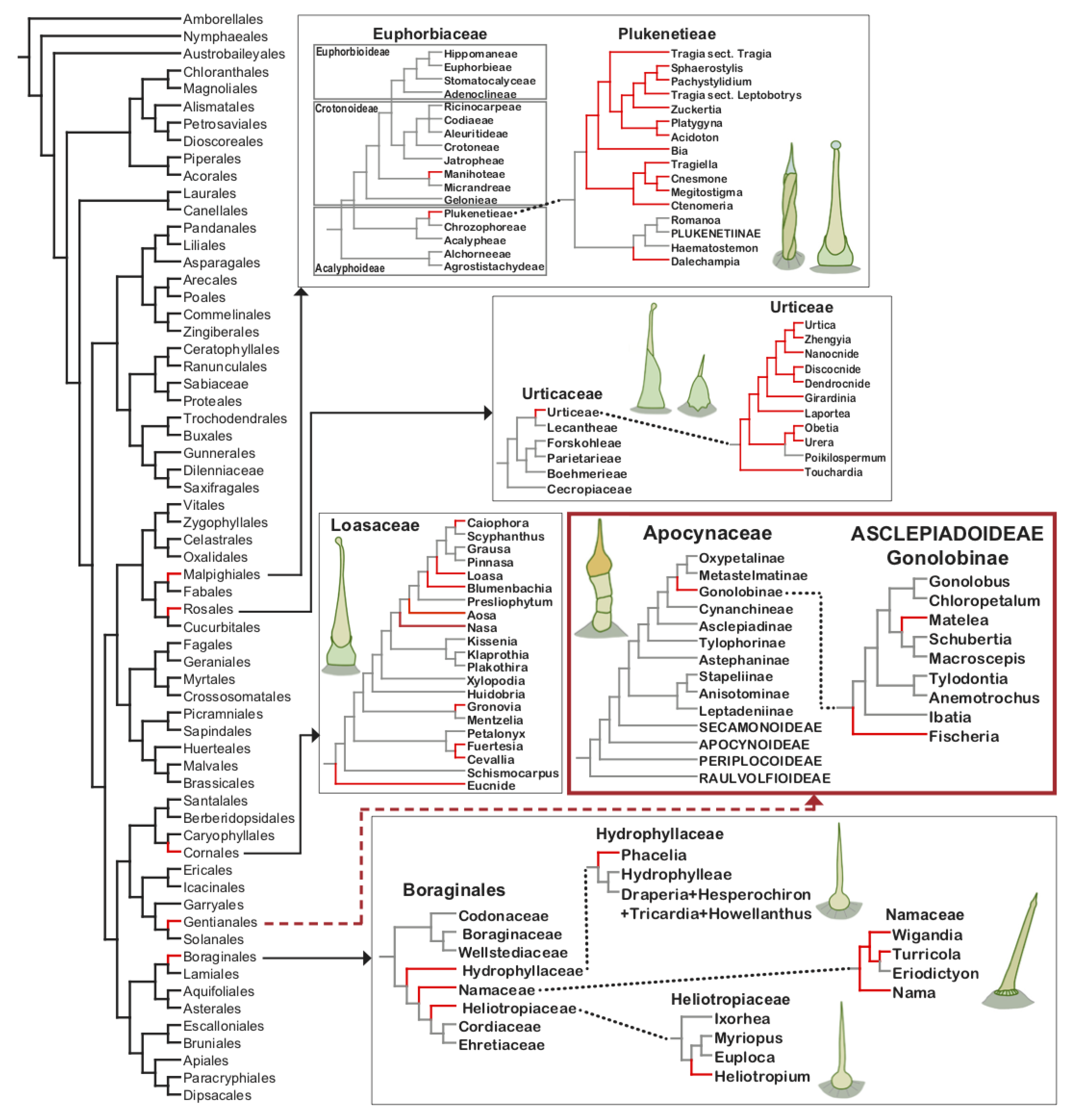Plants 10 02324 g004