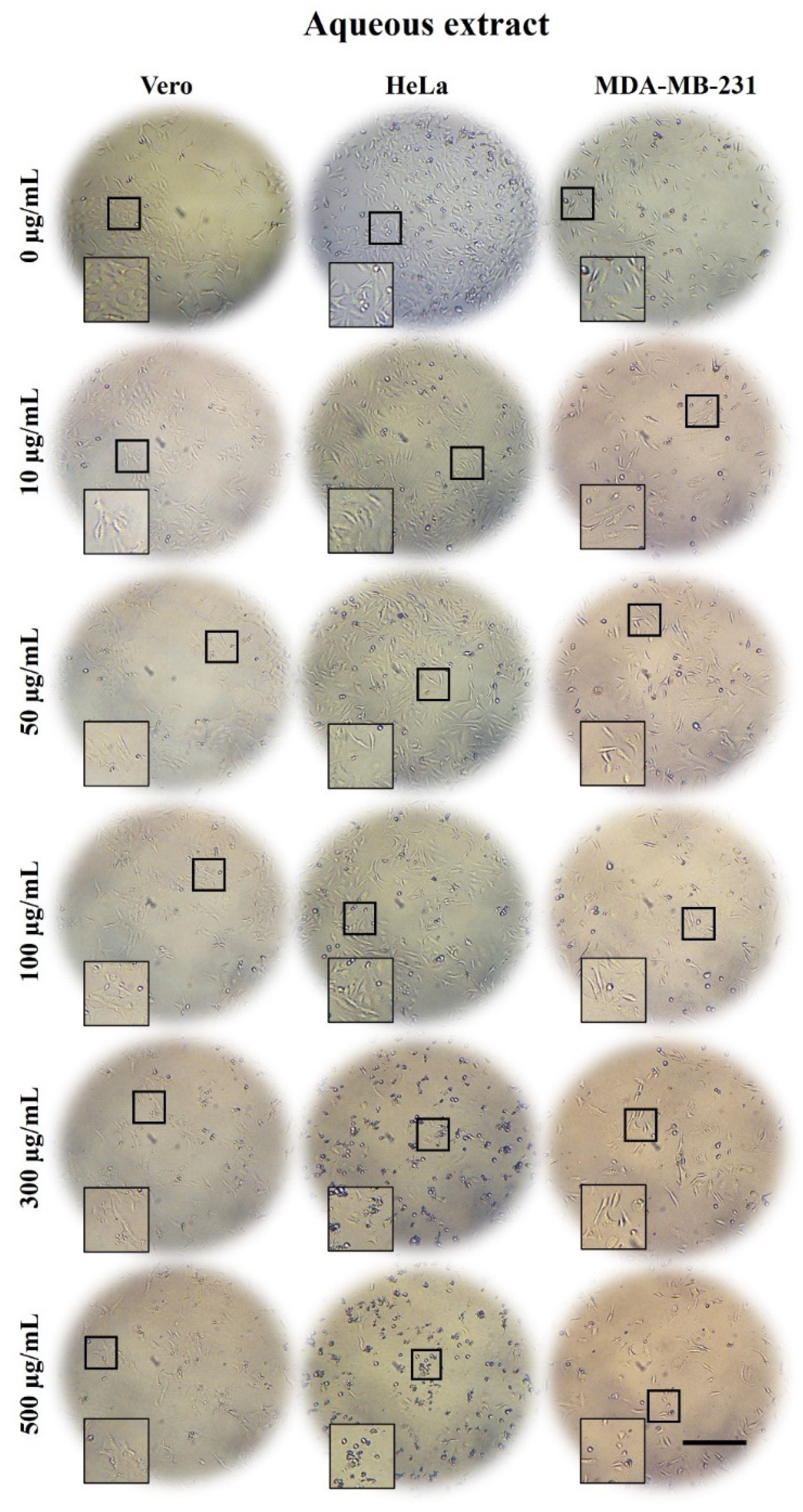 Plants 10 02326 g001