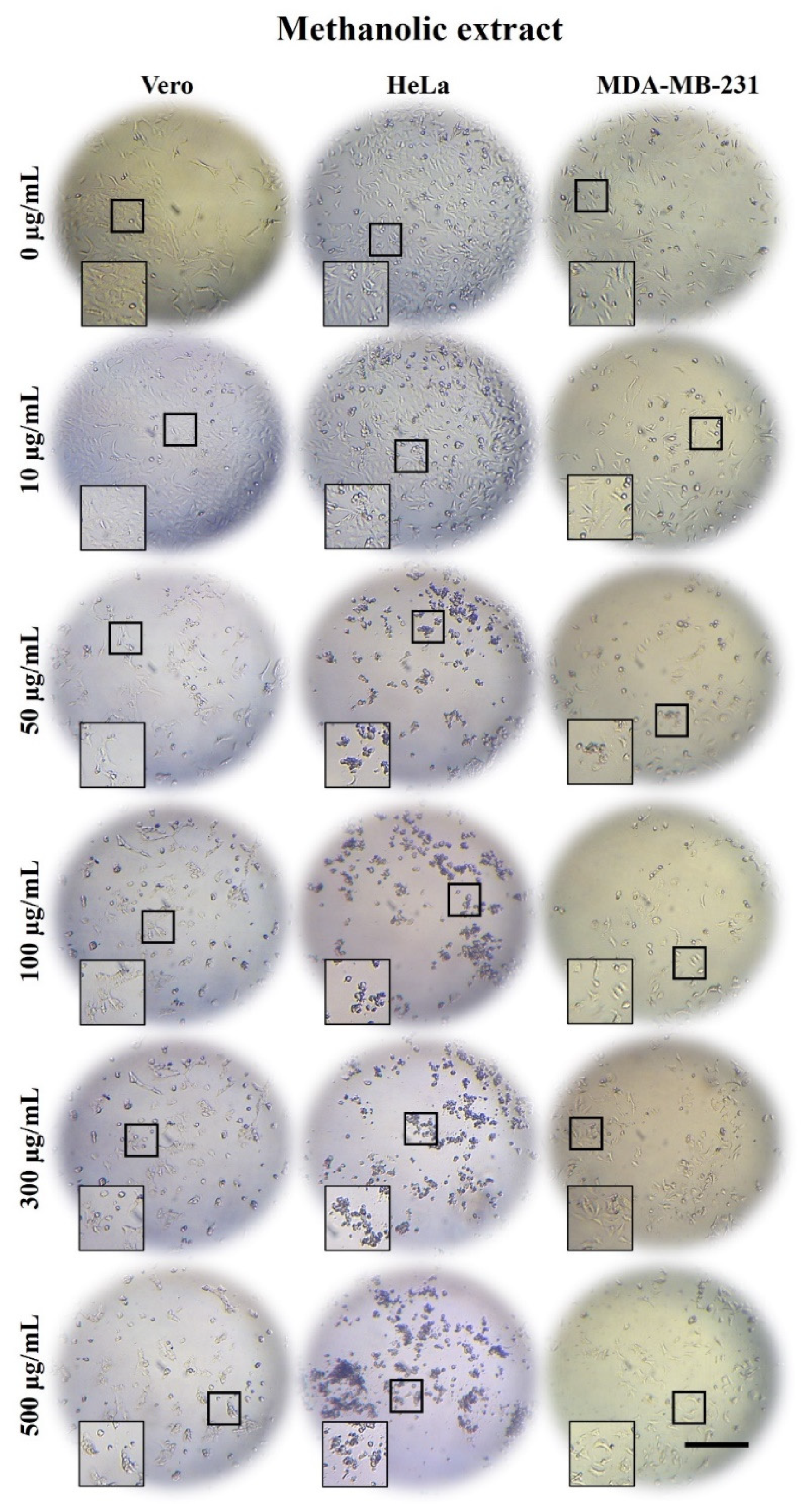 Plants 10 02326 g002