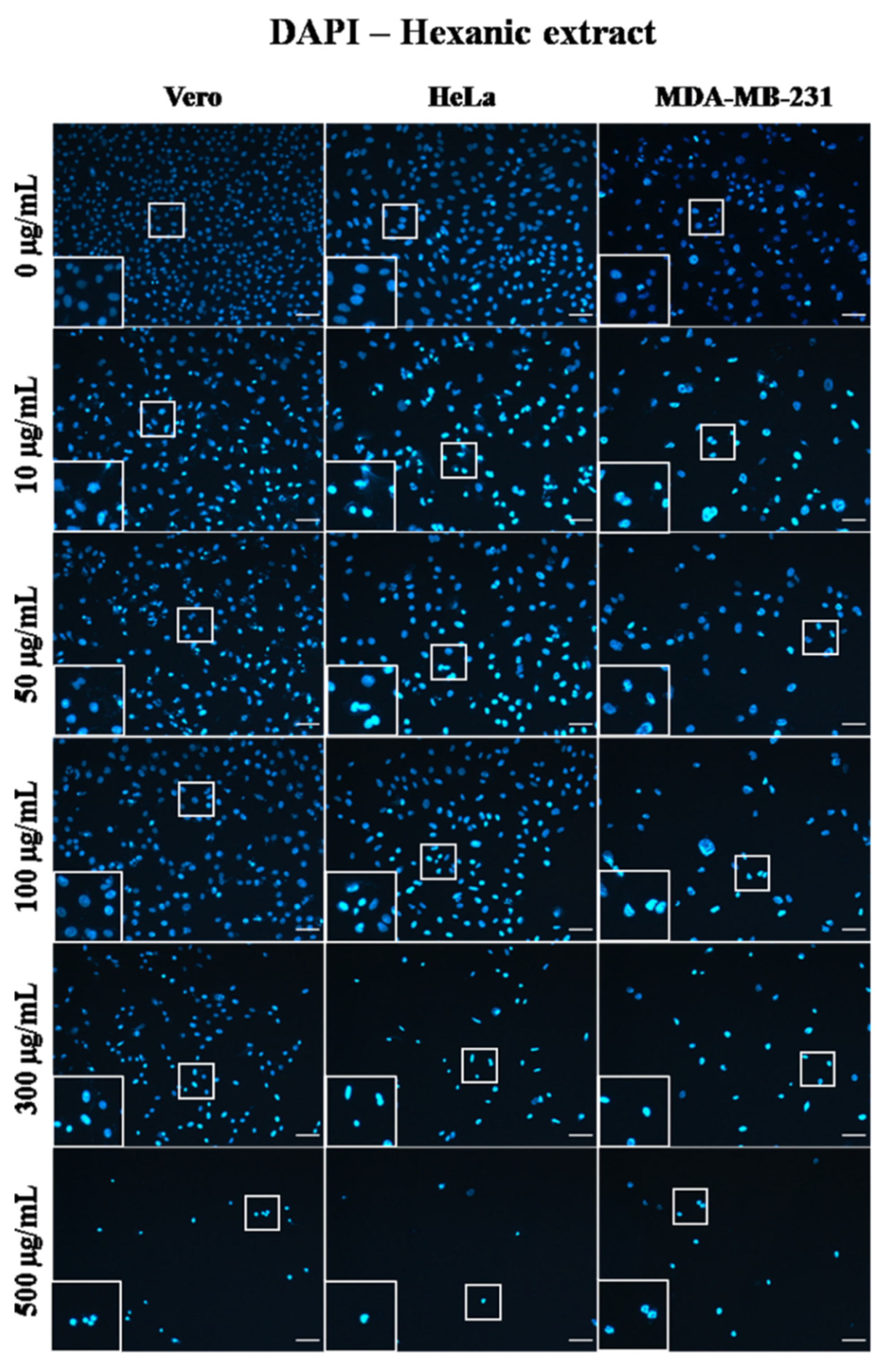 Plants 10 02326 g004