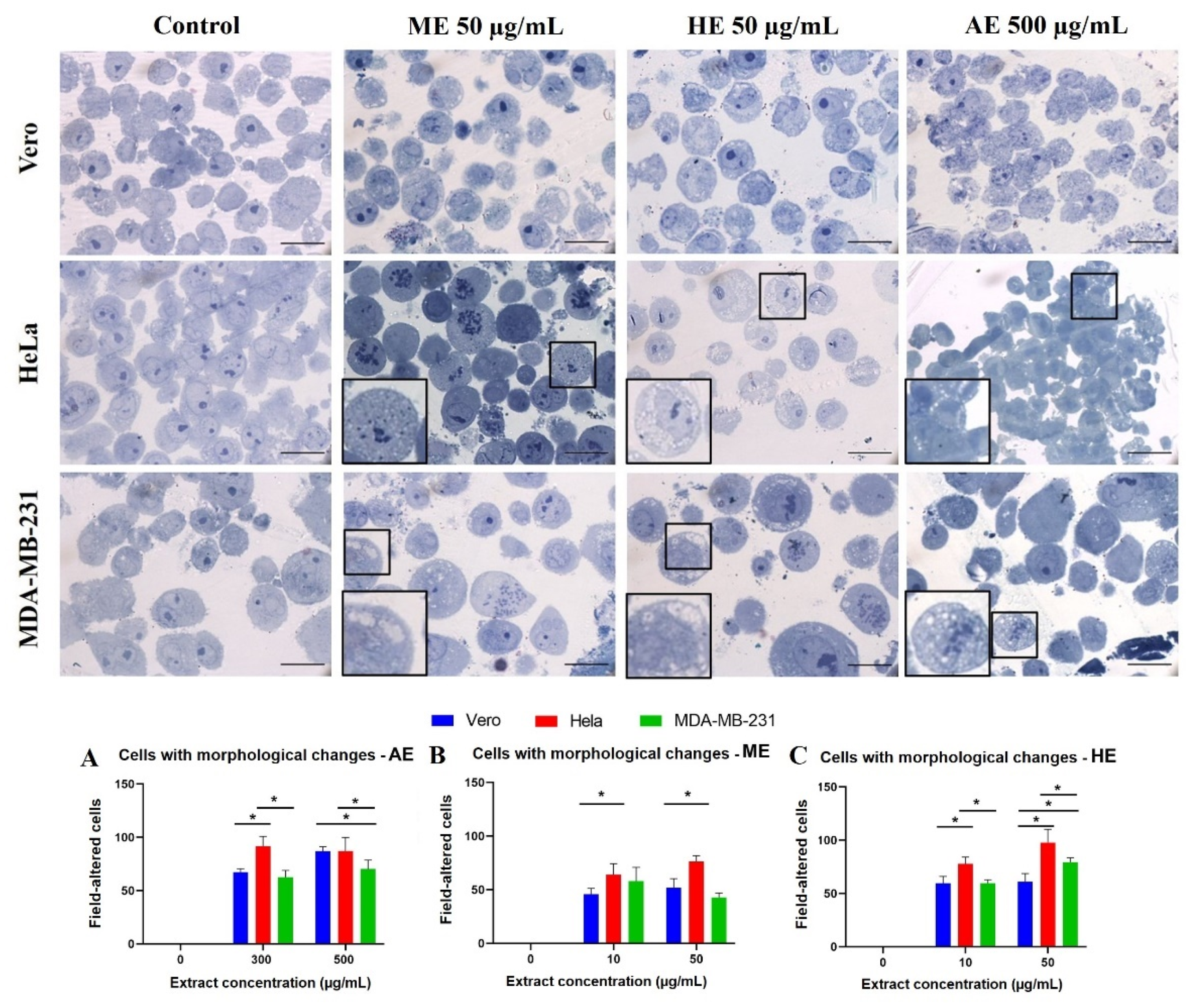 Plants 10 02326 g009