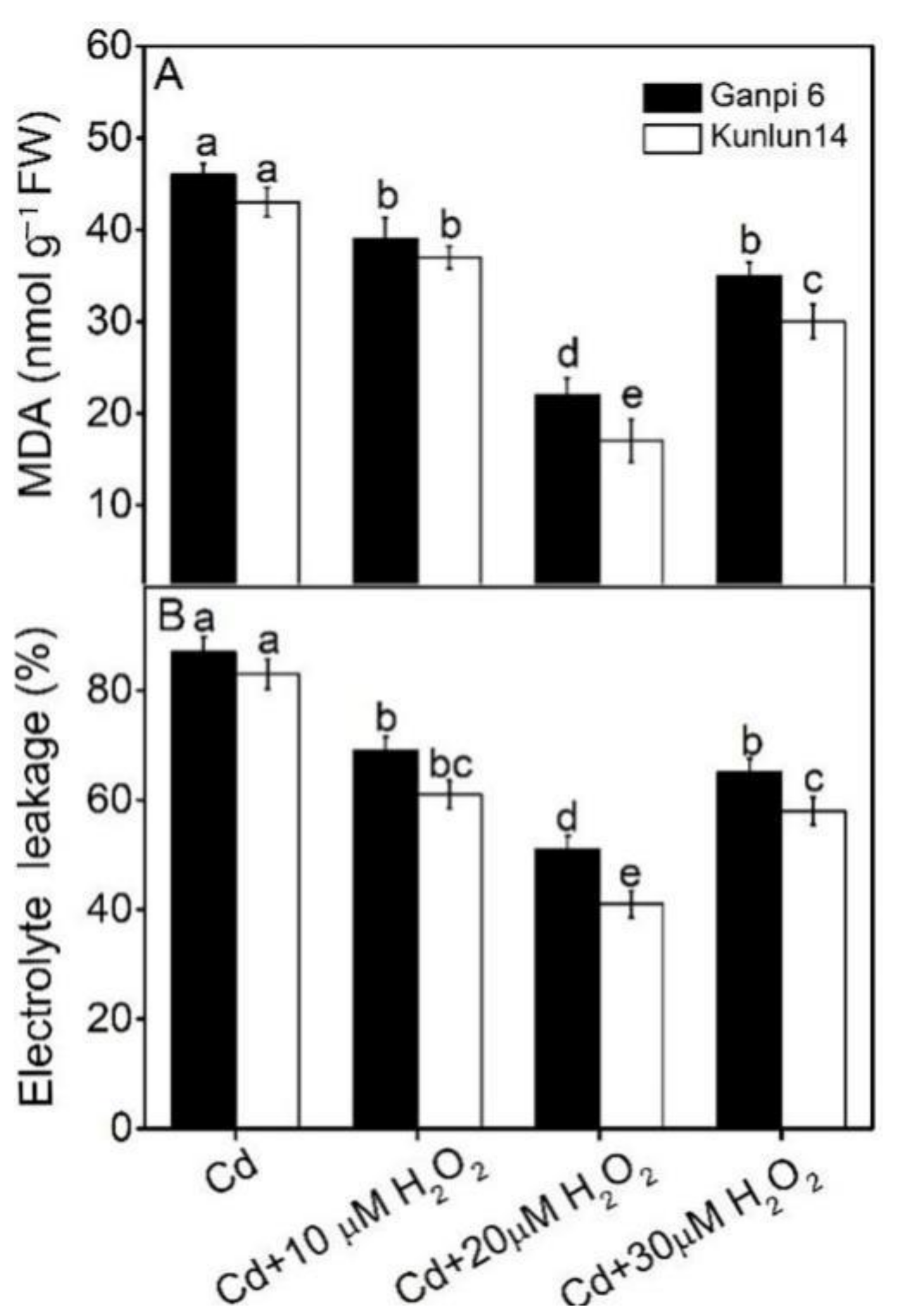 Plants 10 02329 g002