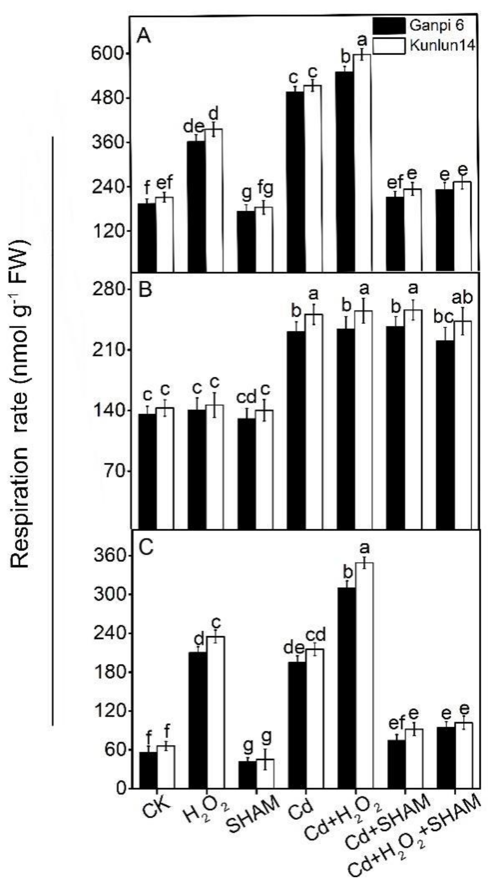 Plants 10 02329 g004
