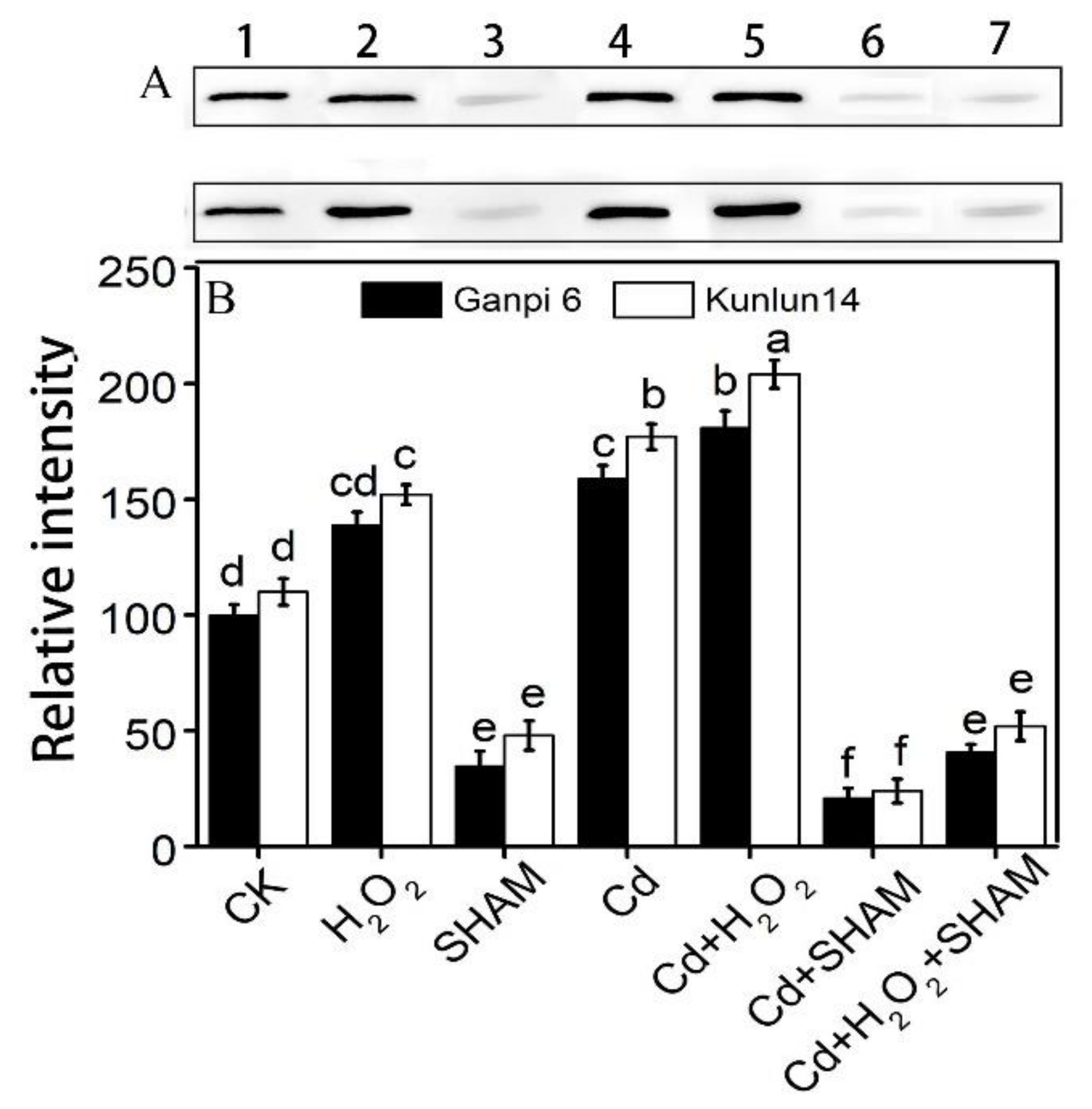 Plants 10 02329 g005