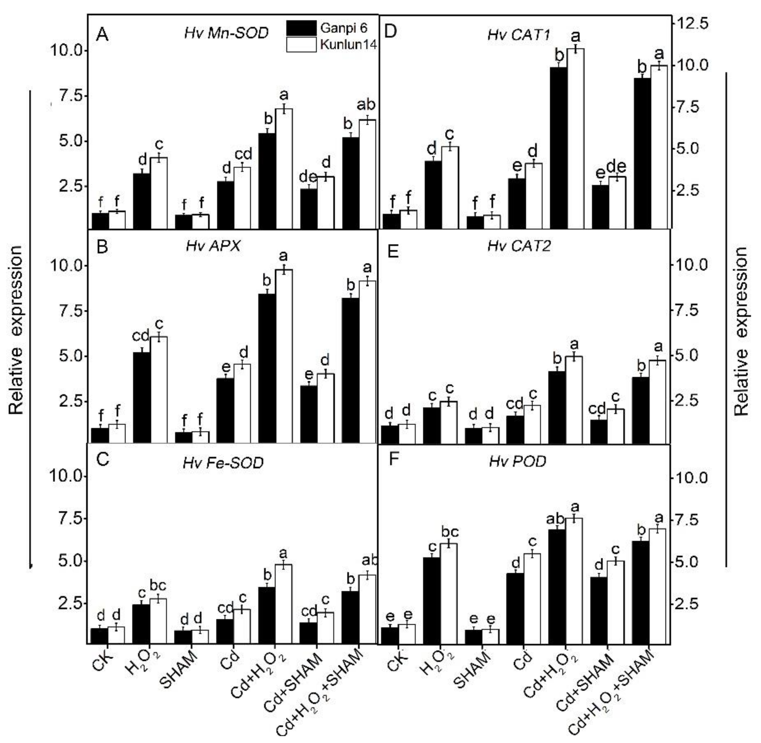 Plants 10 02329 g010