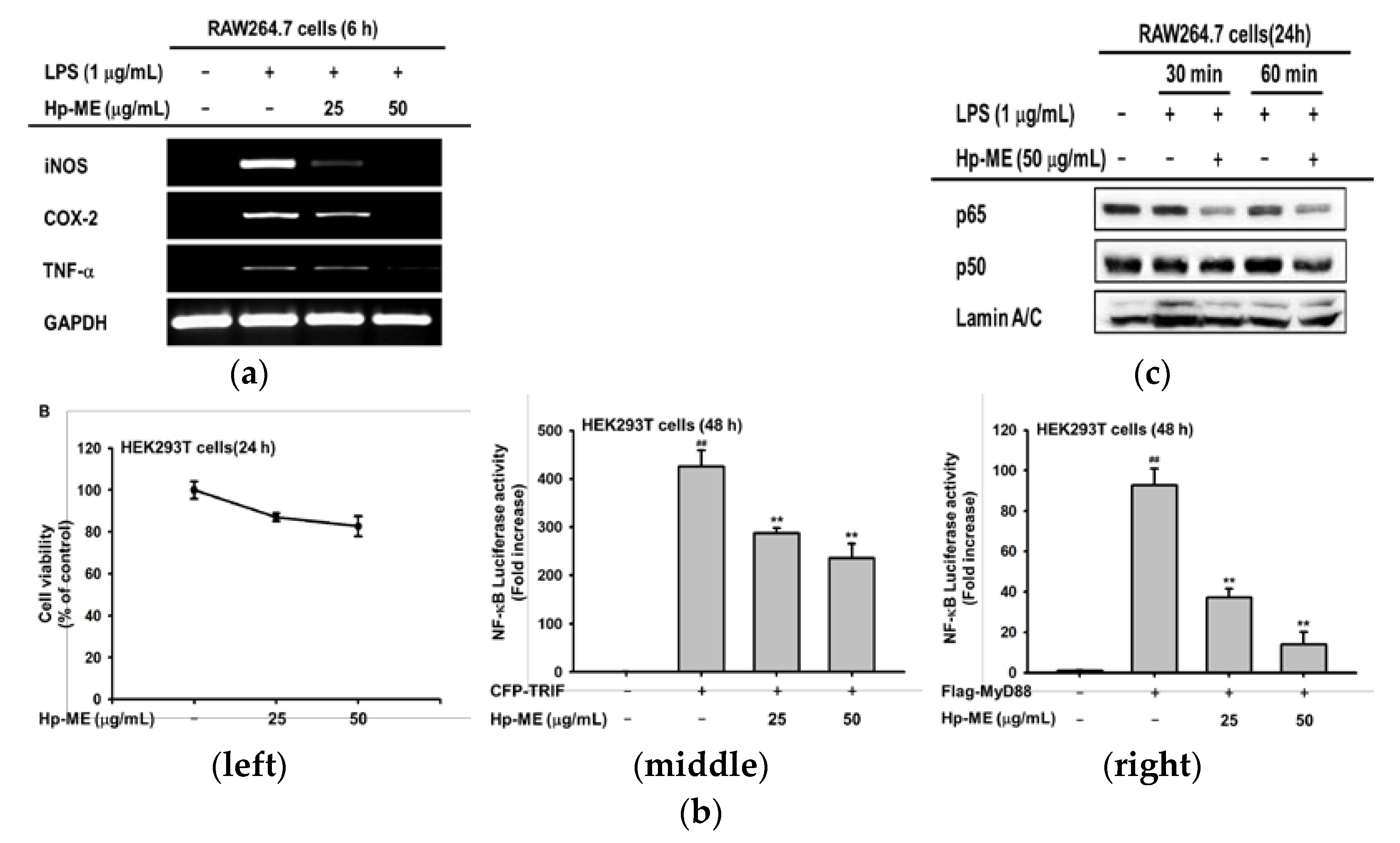 Plants 10 02335 g002