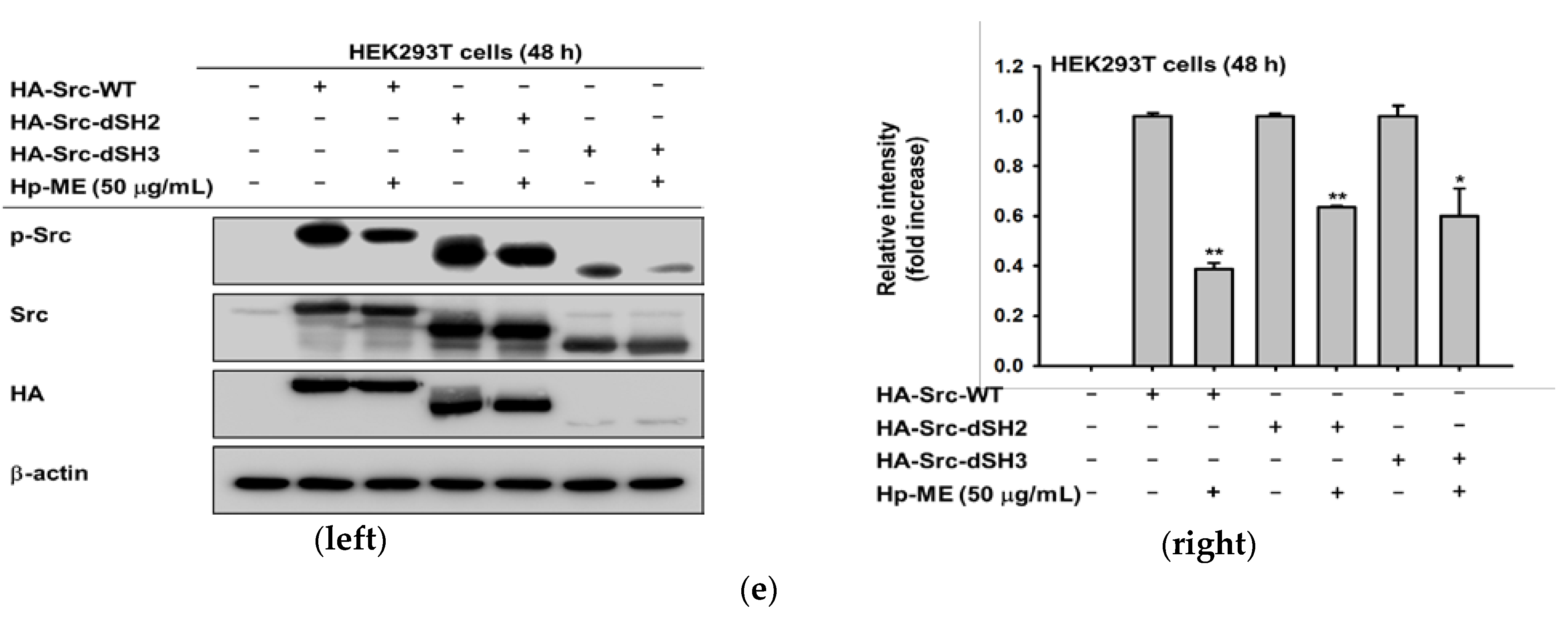 Plants 10 02335 g003b