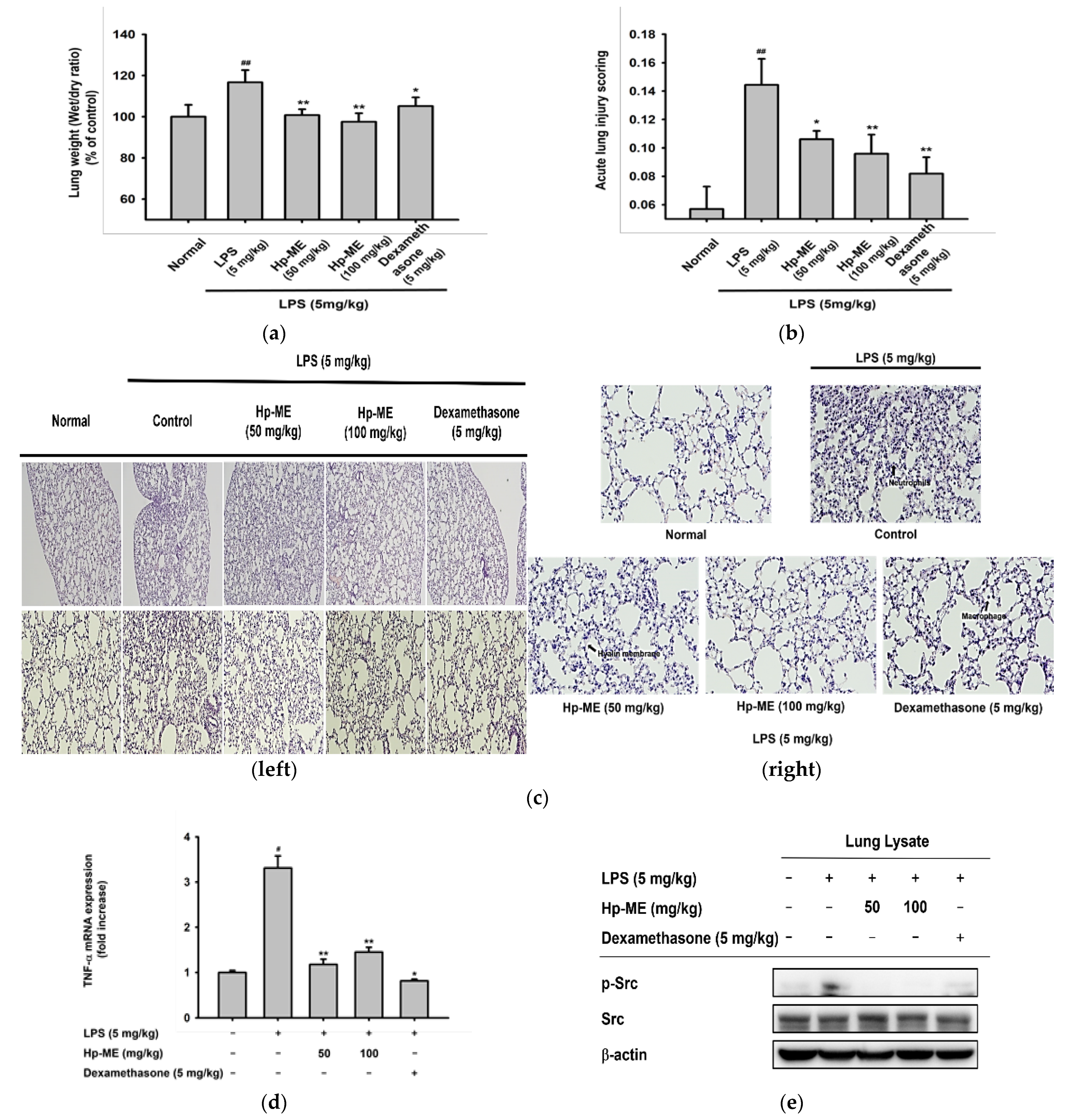 Plants 10 02335 g005