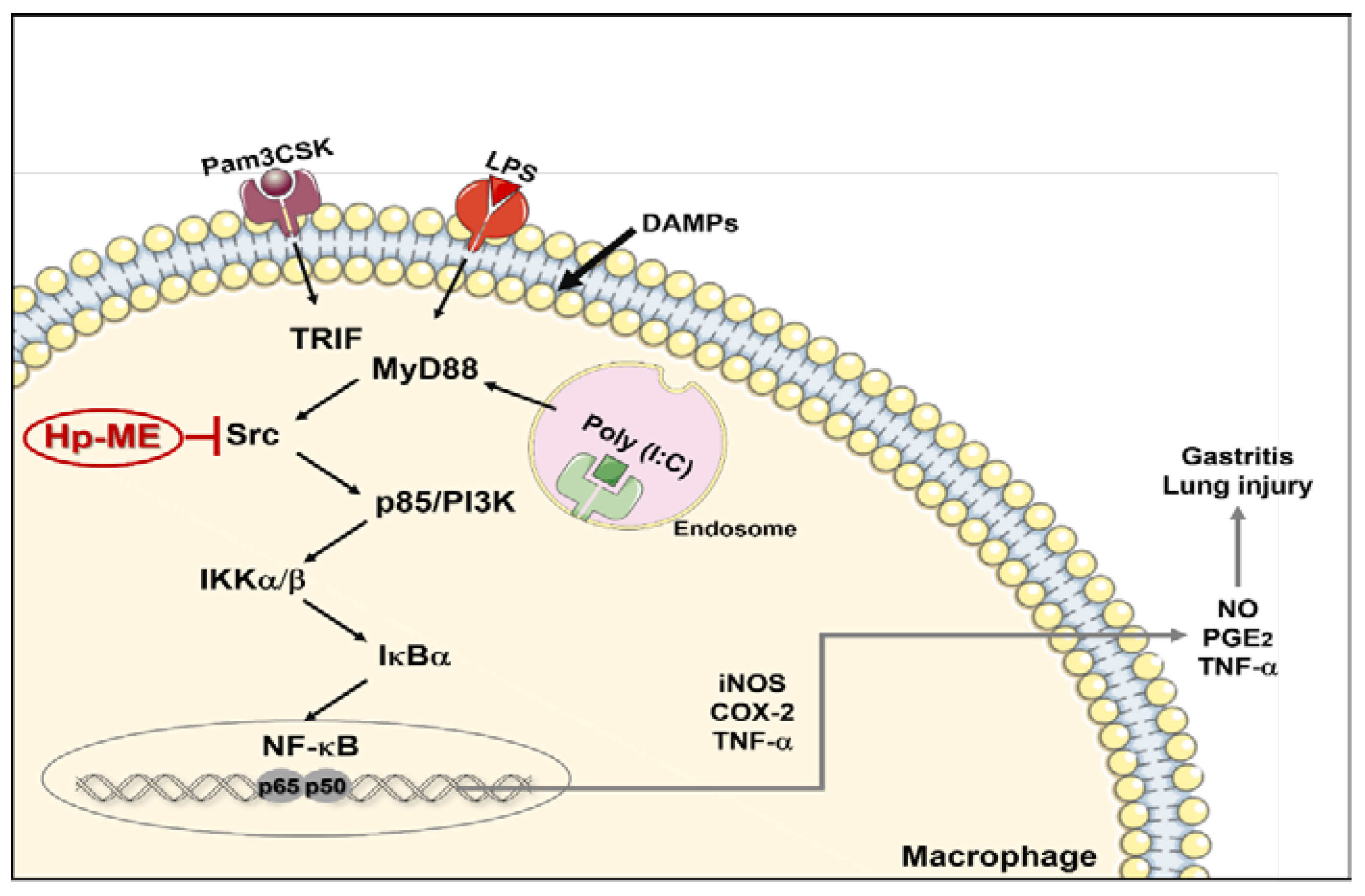 Plants 10 02335 g006