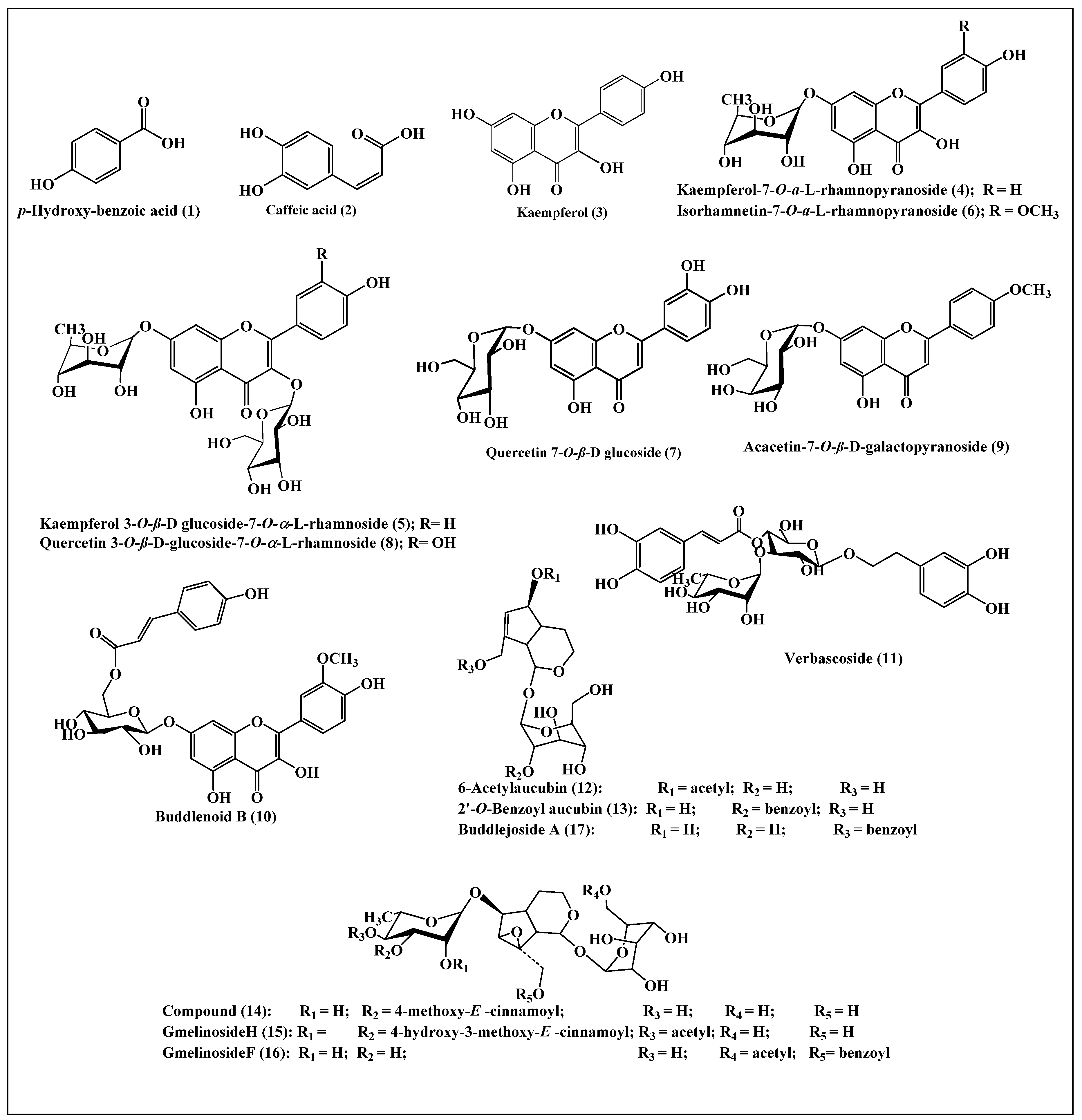 Plants 10 02351 g003