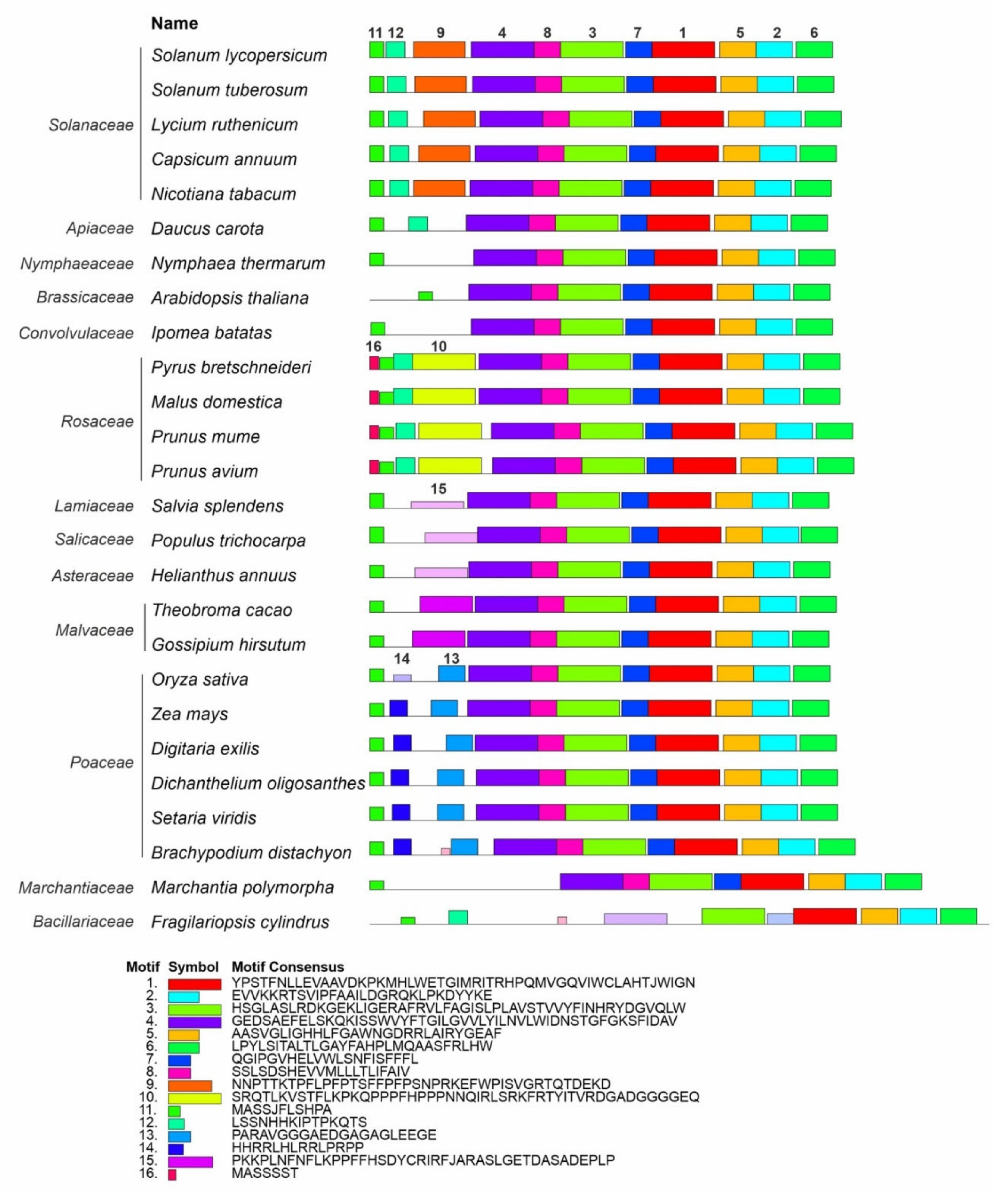 Plants 10 02365 g003