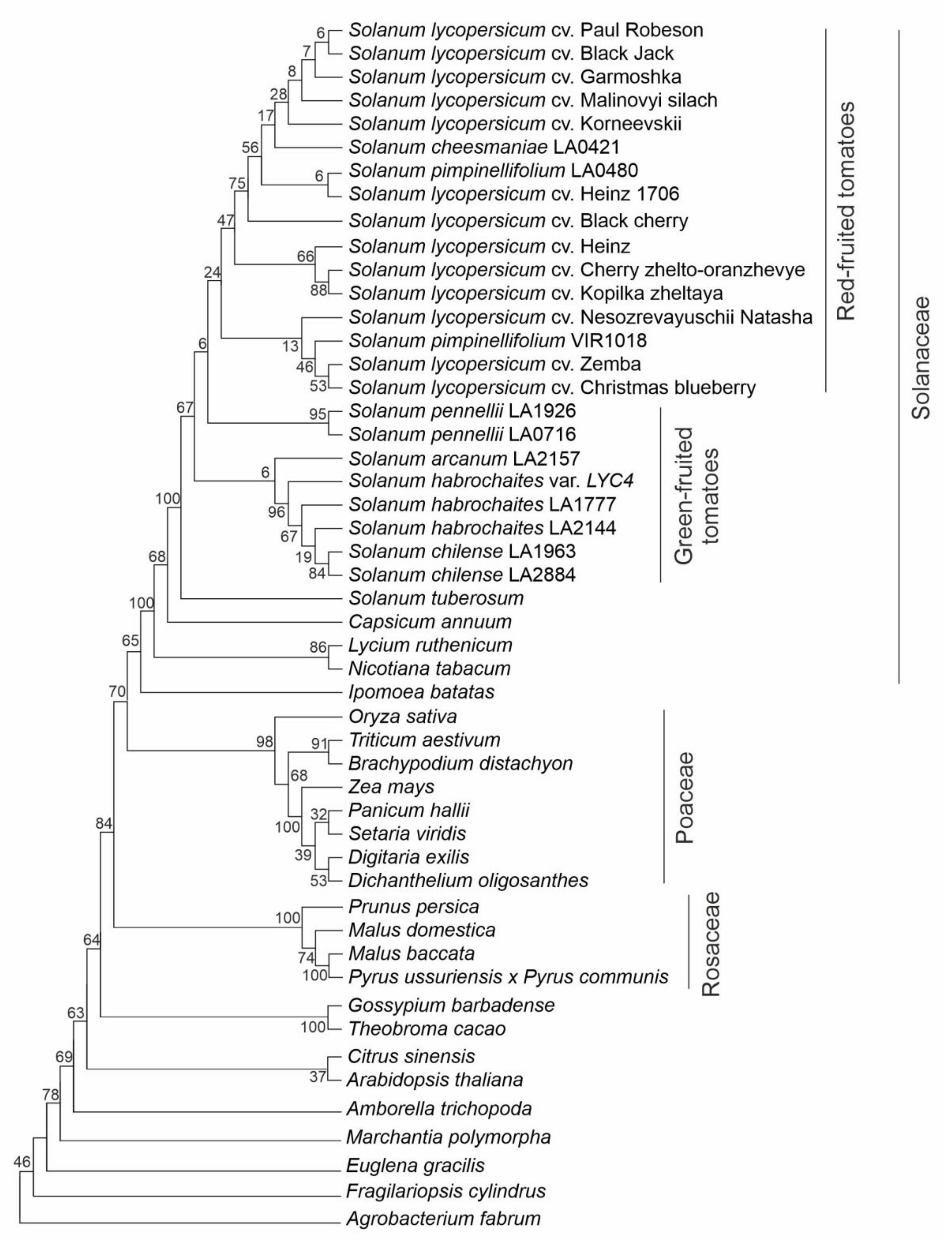 Plants 10 02365 g004