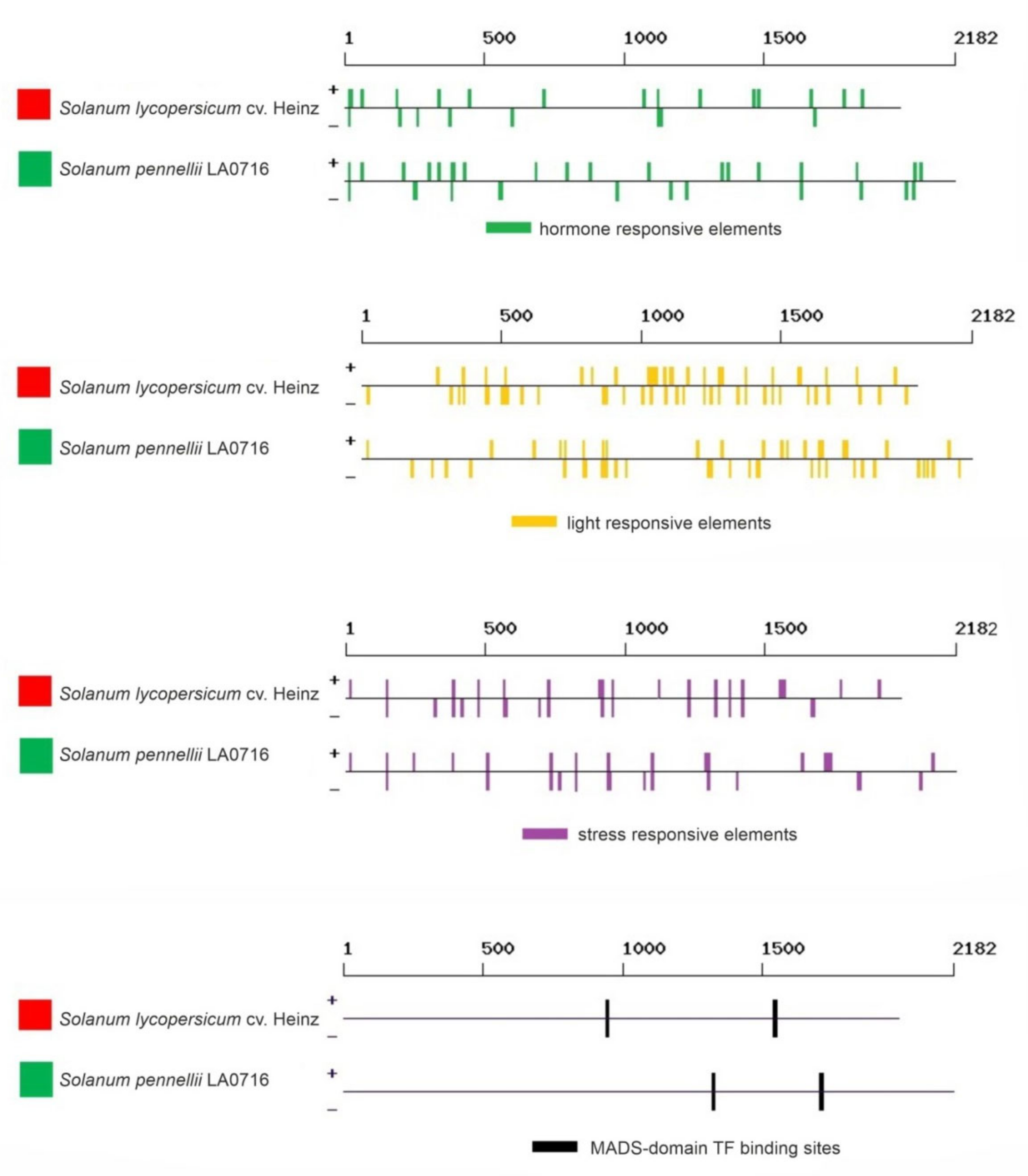 Plants 10 02365 g006