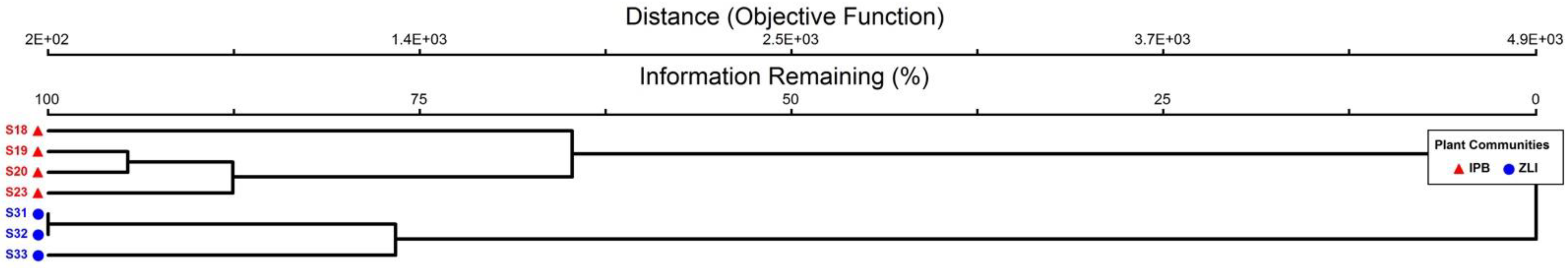 Plants 10 02372 g003