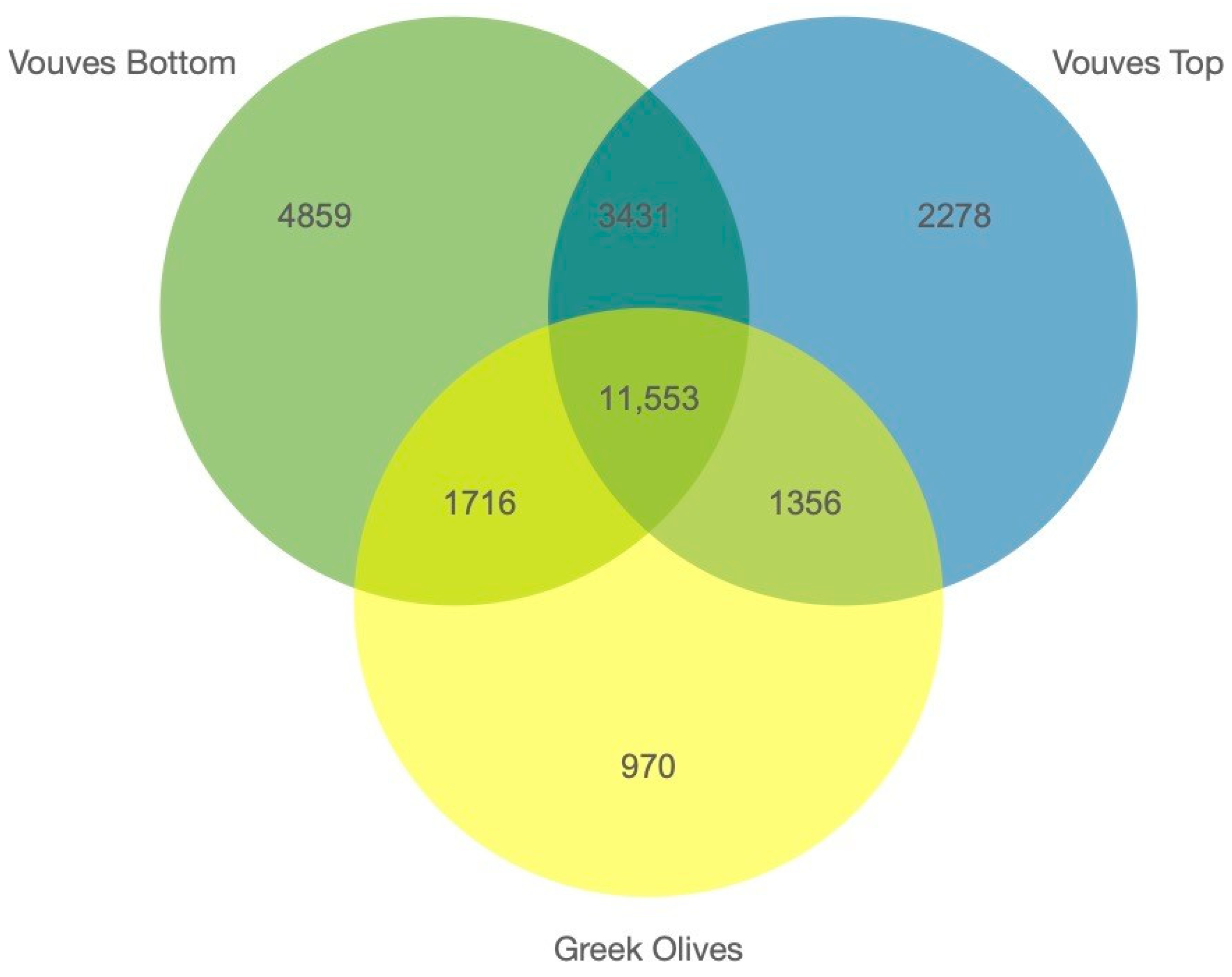 Plants 10 02374 g005