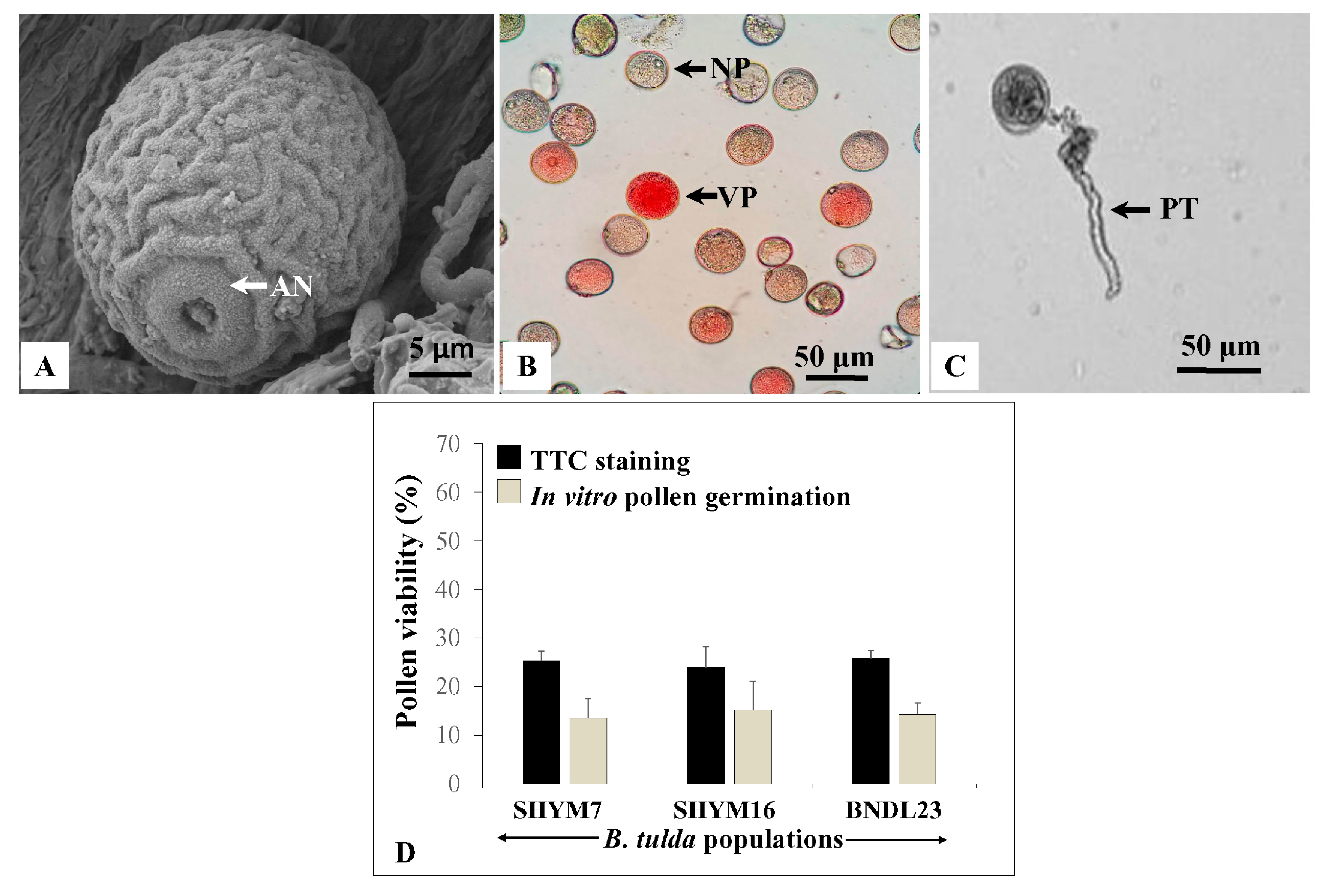 Plants 10 02375 g006