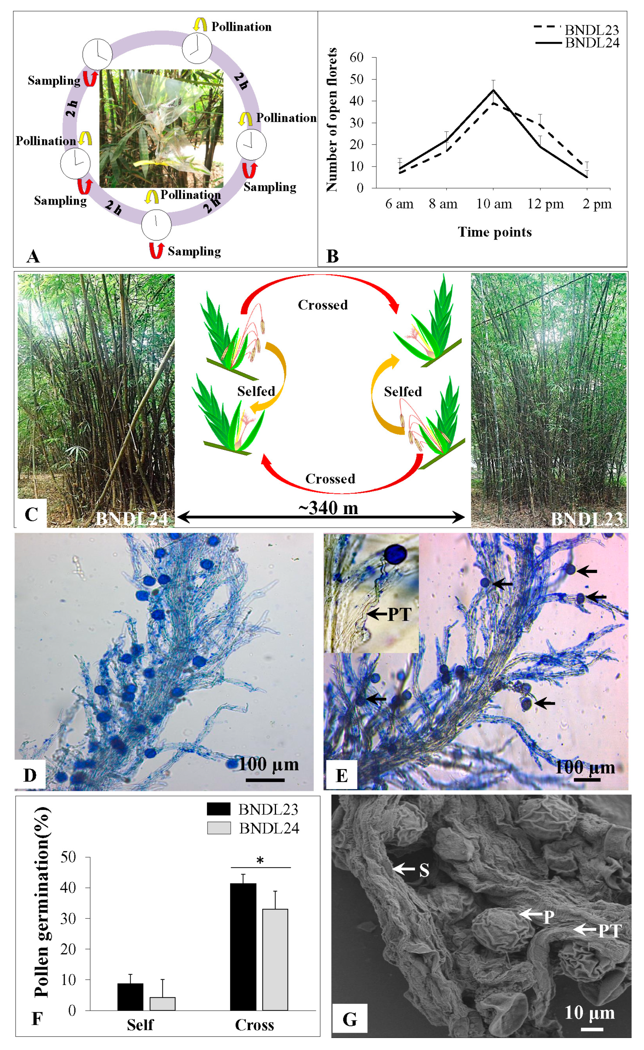 Plants 10 02375 g007