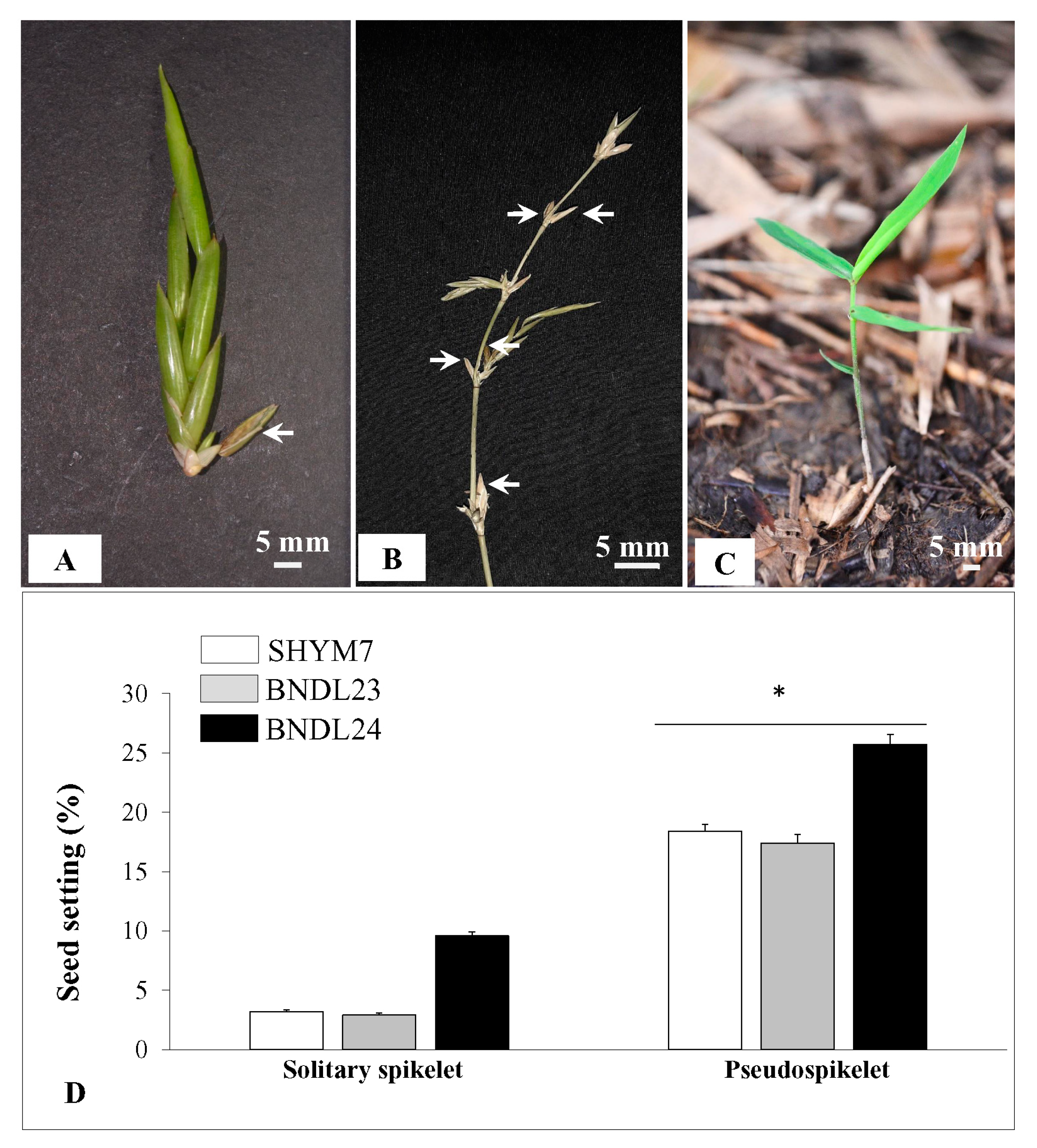Plants 10 02375 g008