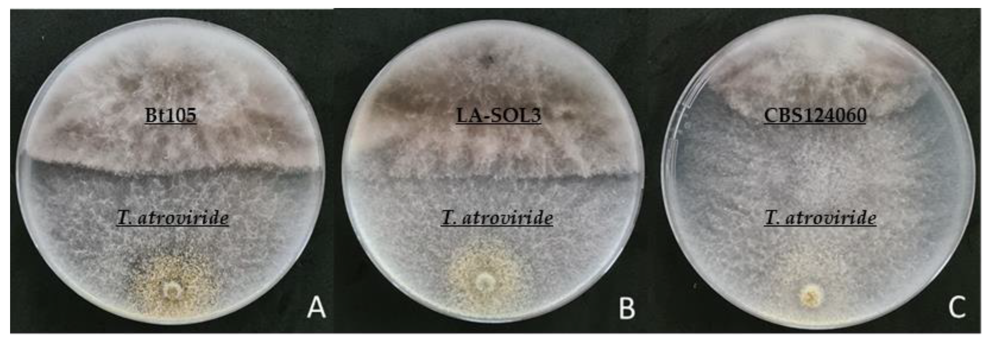 Plants 10 02376 g002