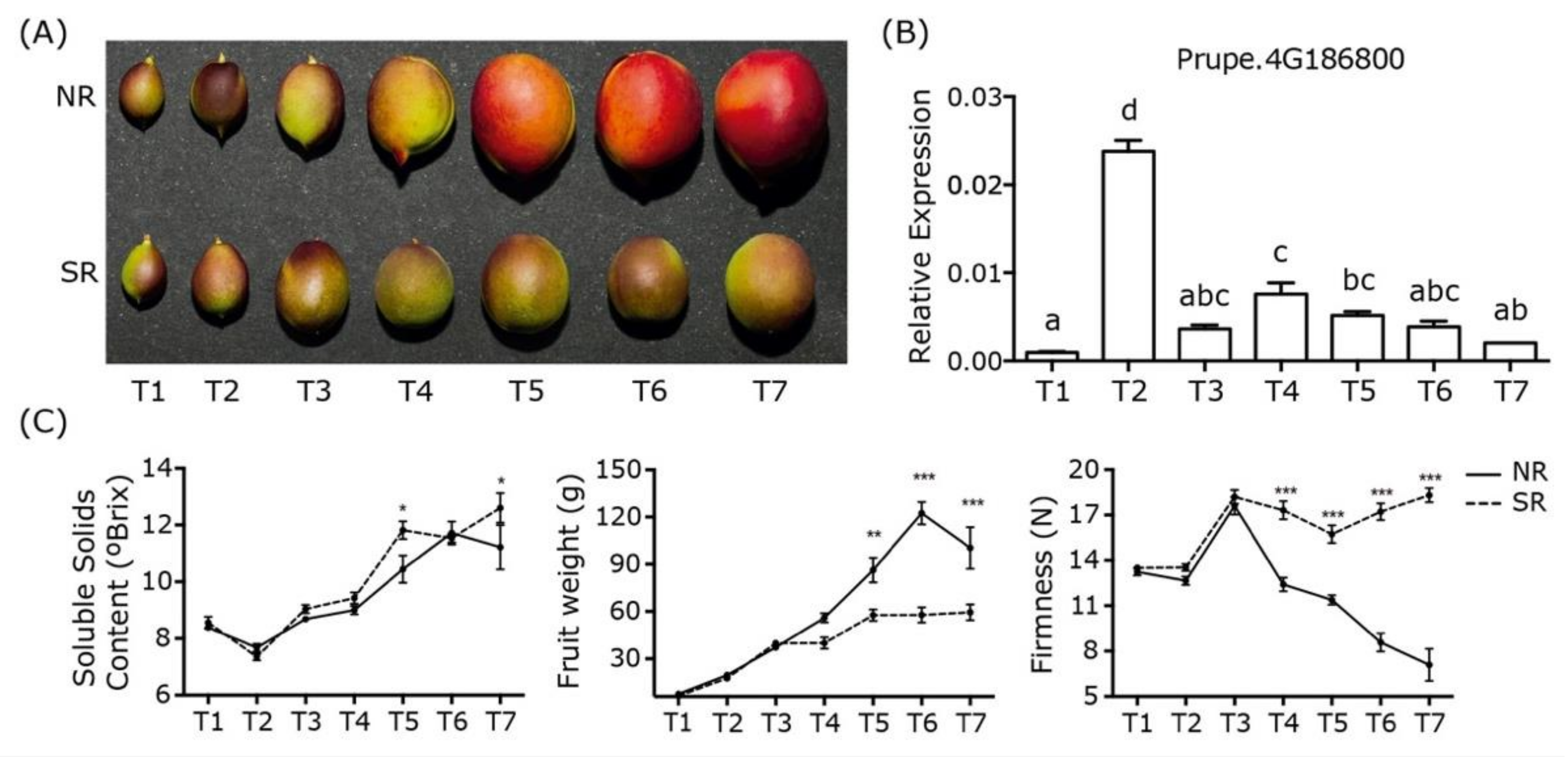 Plants 10 02380 g001