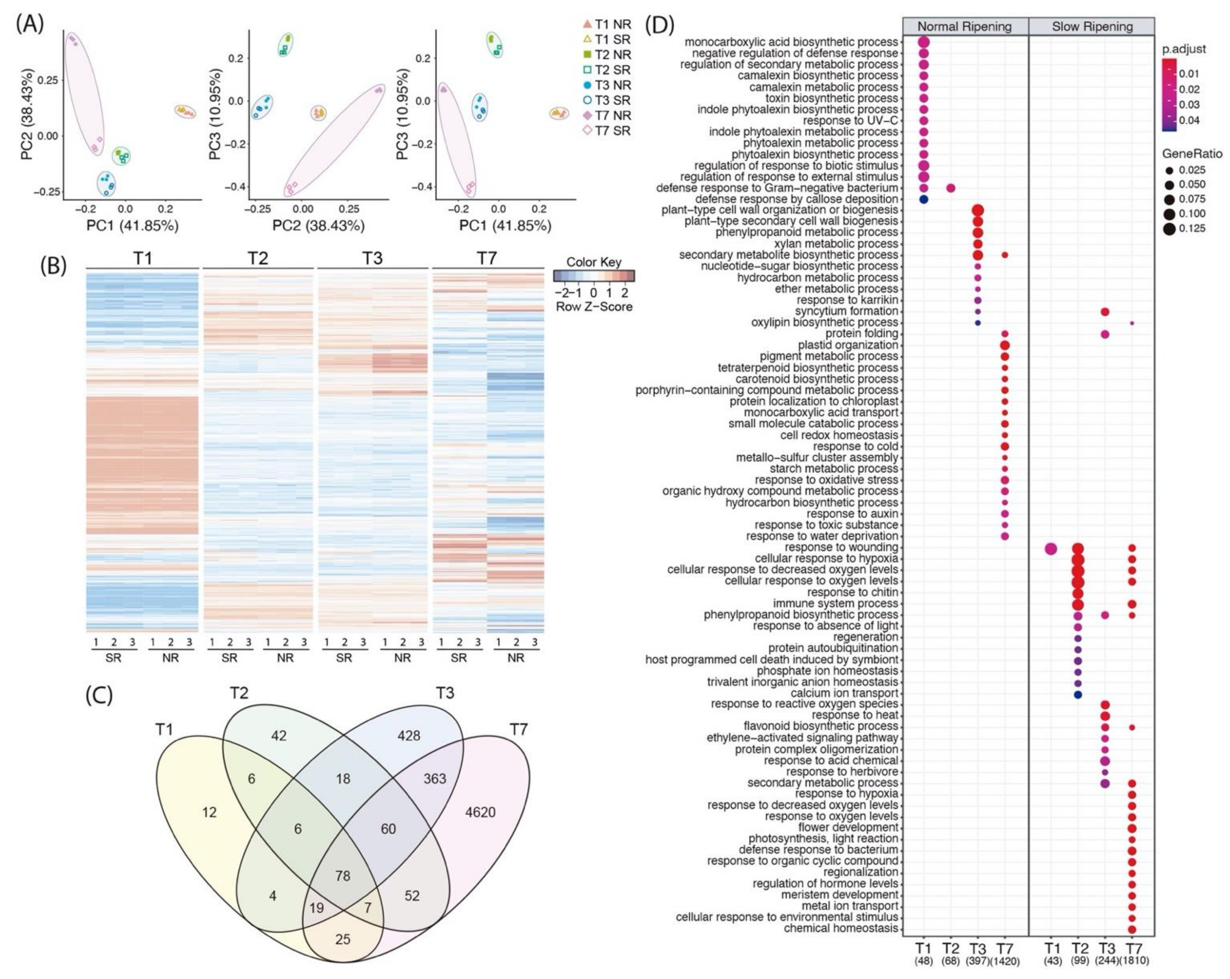 Plants 10 02380 g002