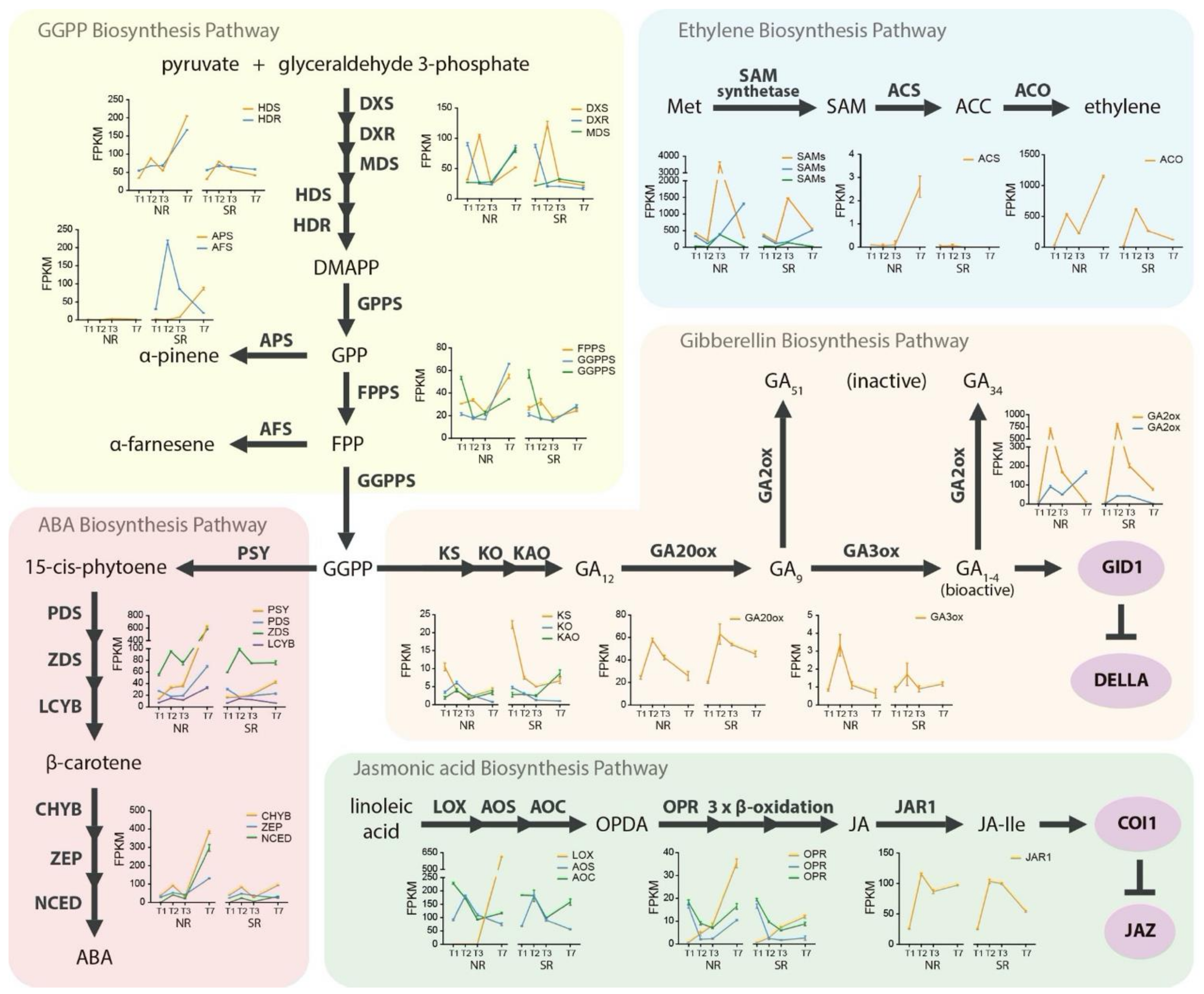 Plants 10 02380 g003