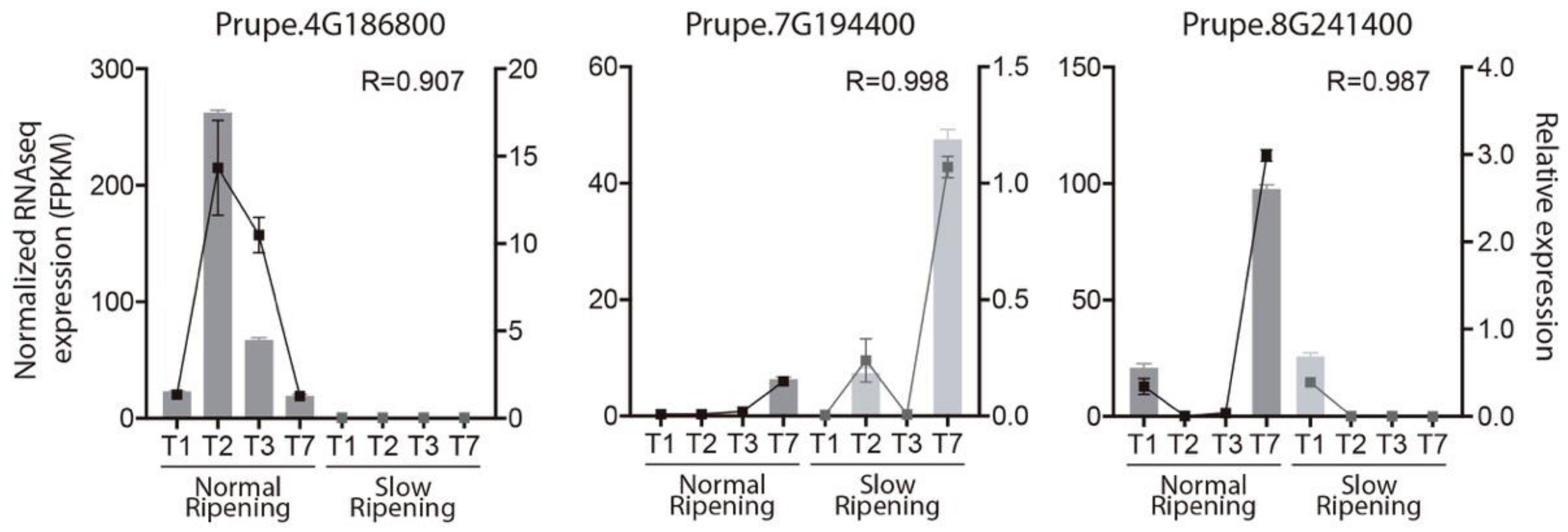 Plants 10 02380 g004