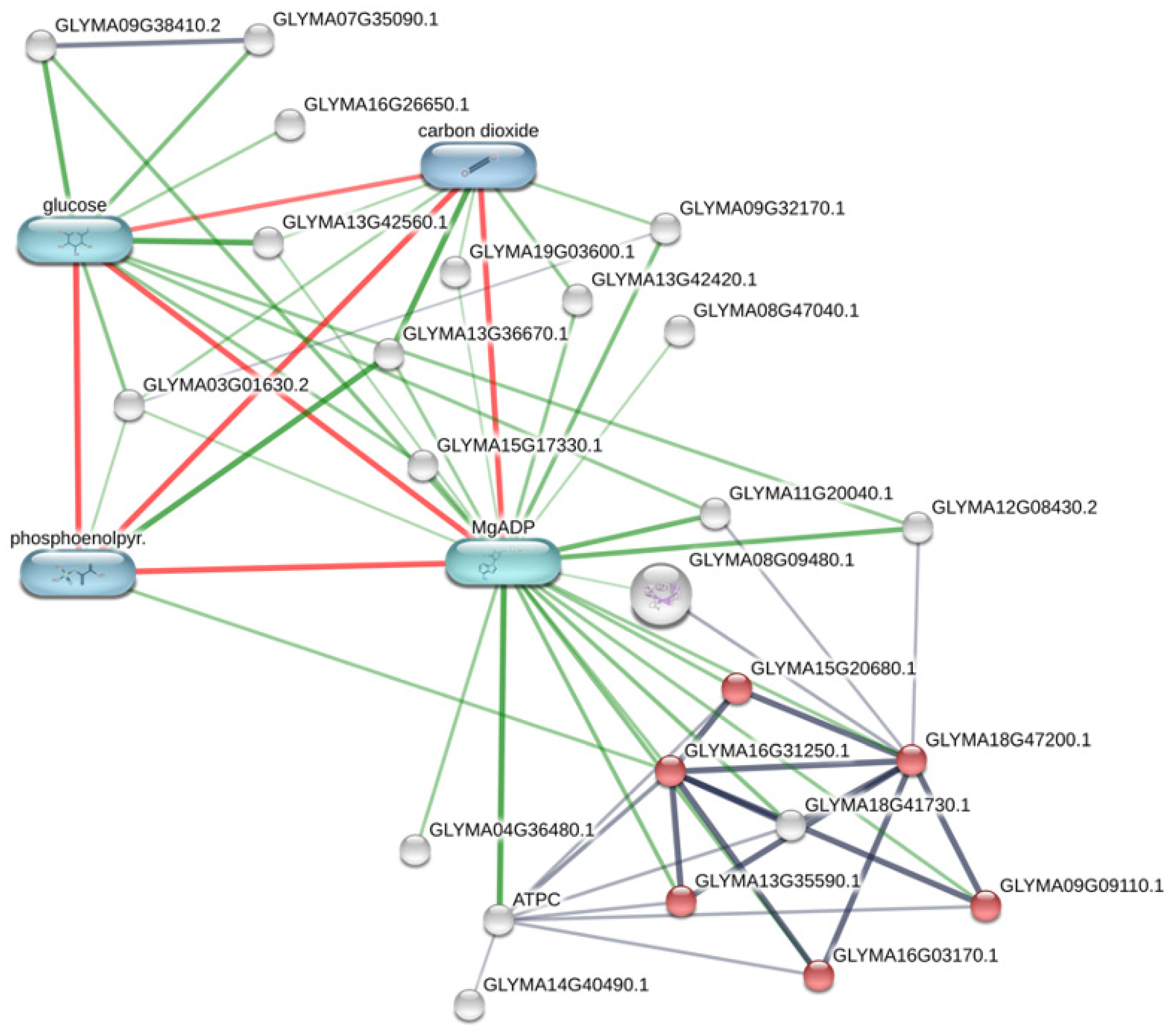 Plants 10 02381 g004