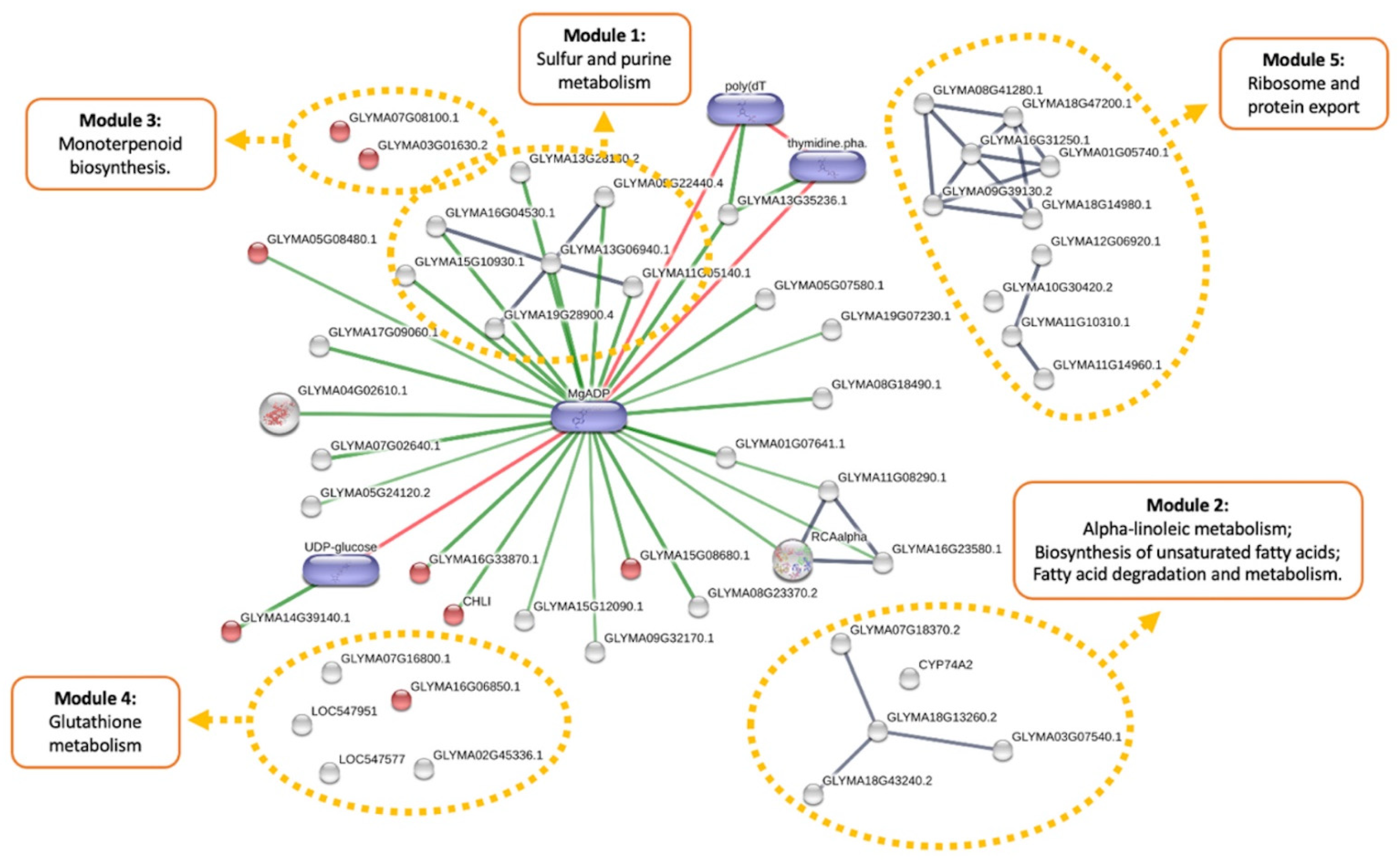 Plants 10 02381 g006