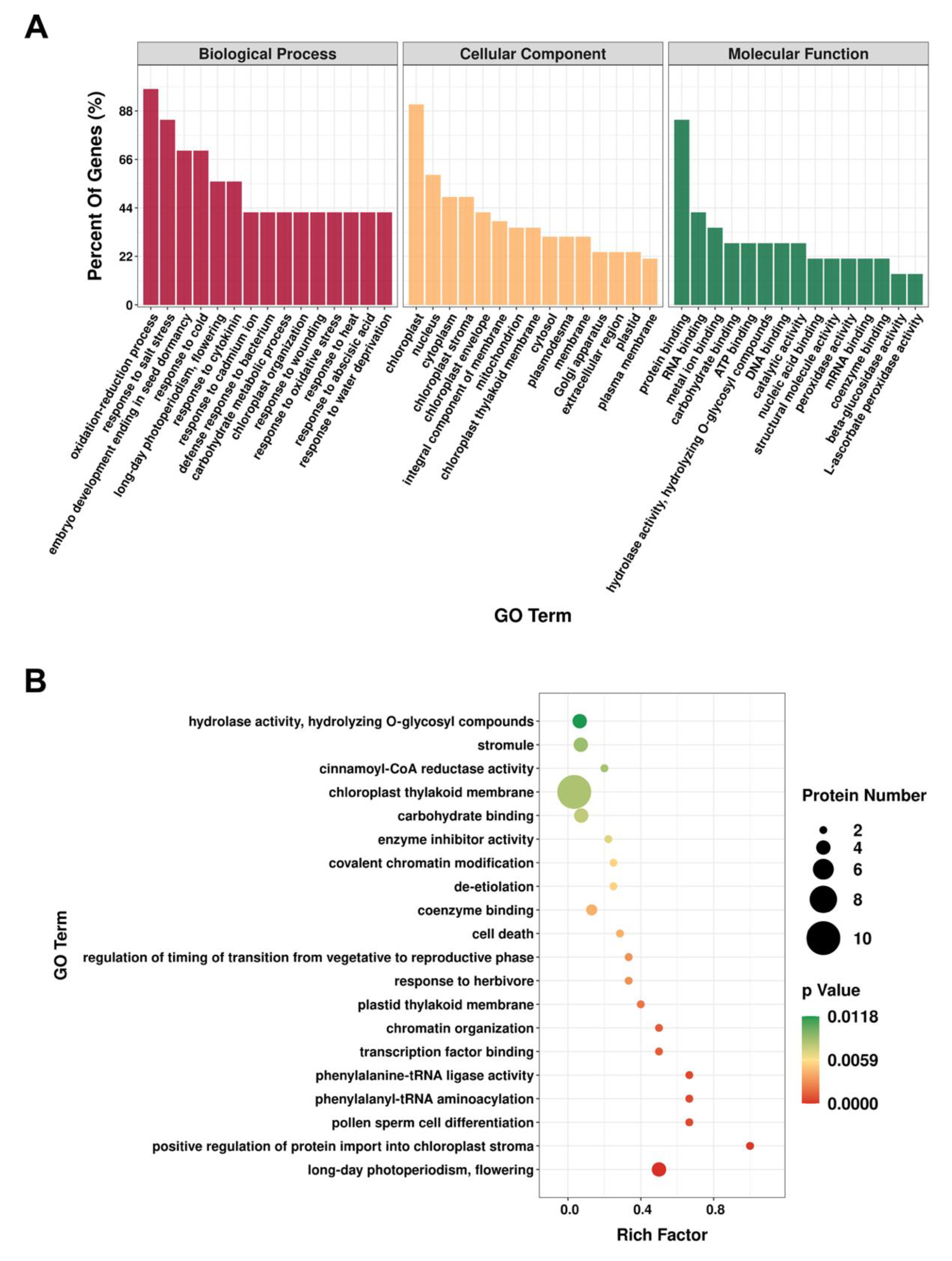 Plants 10 02385 g002