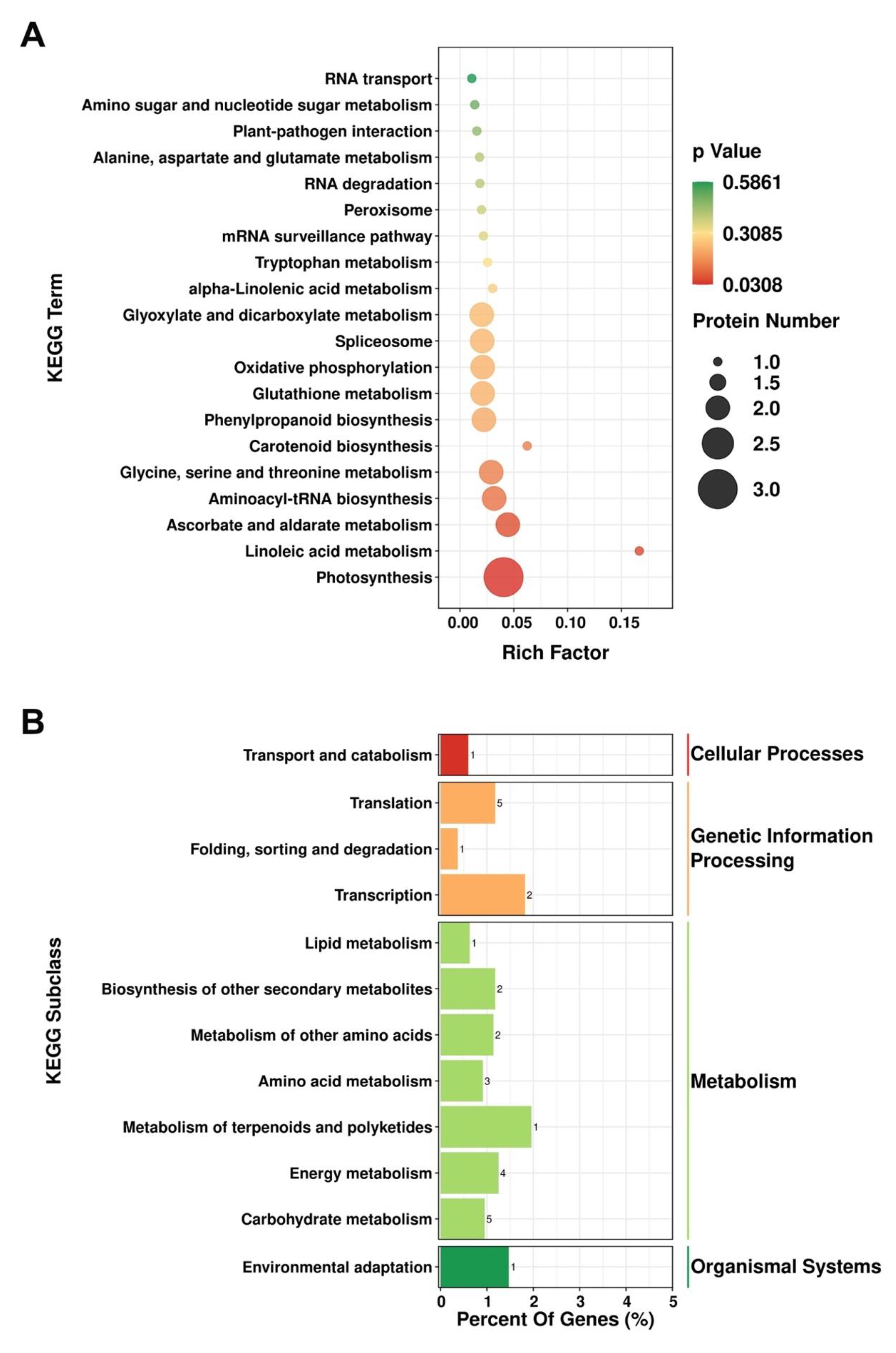 Plants 10 02385 g003