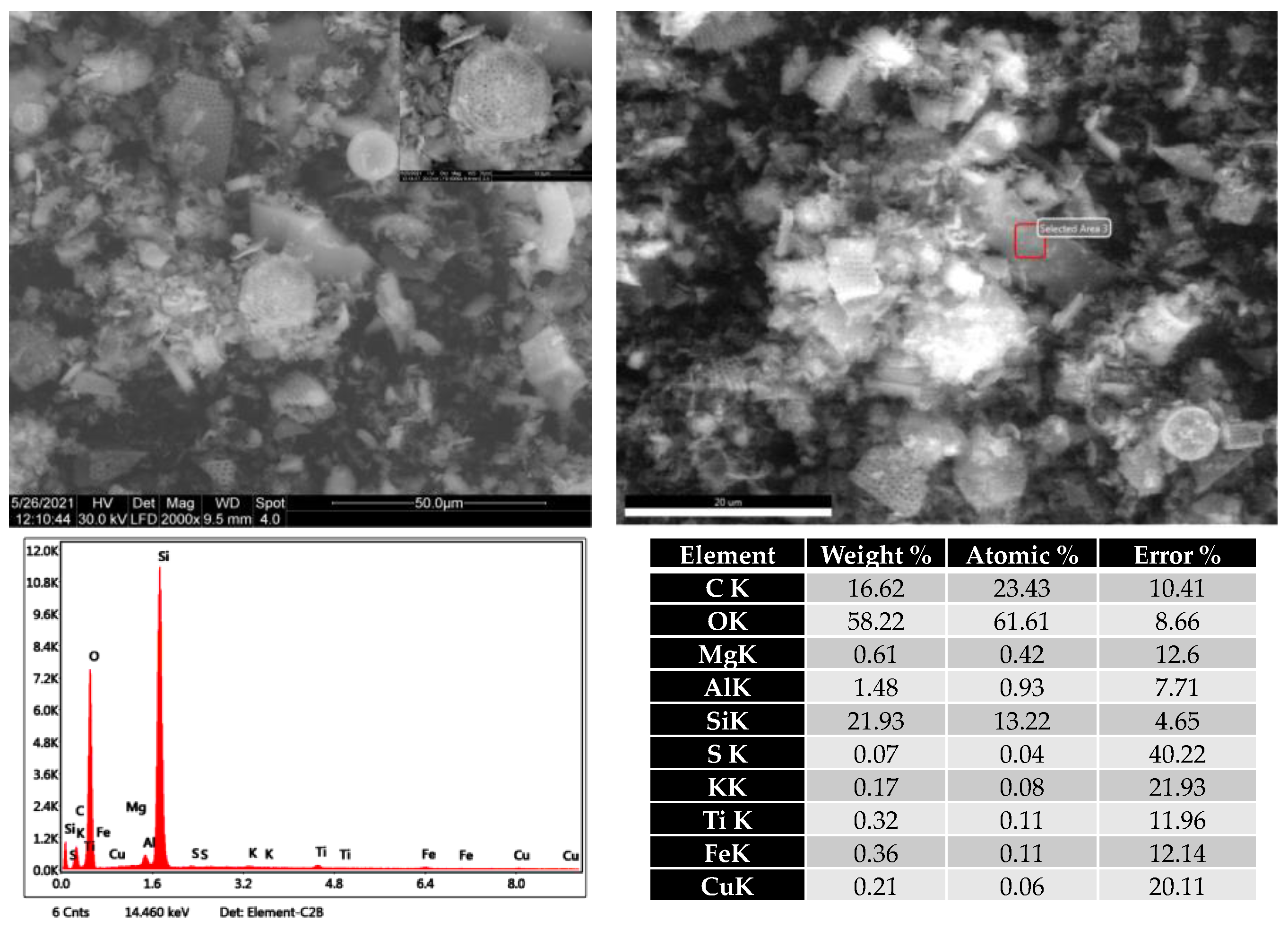 Plants 10 02395 g004