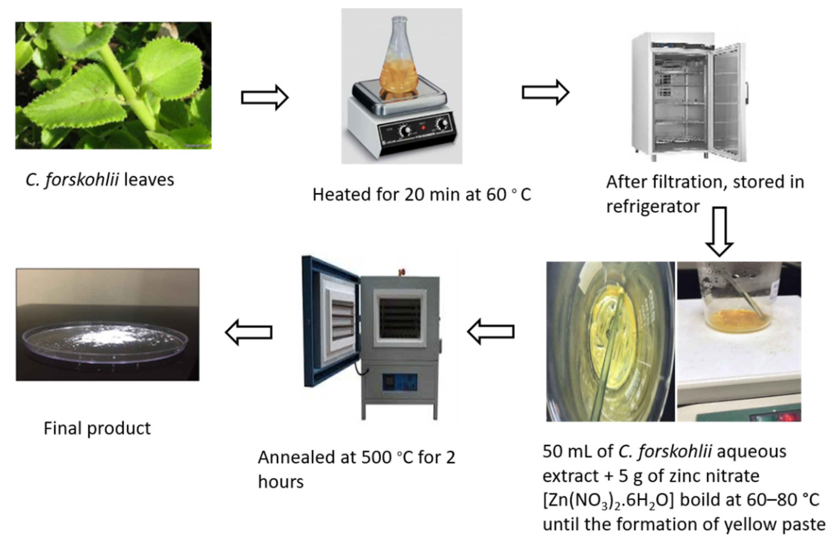 Plants 10 02400 g005