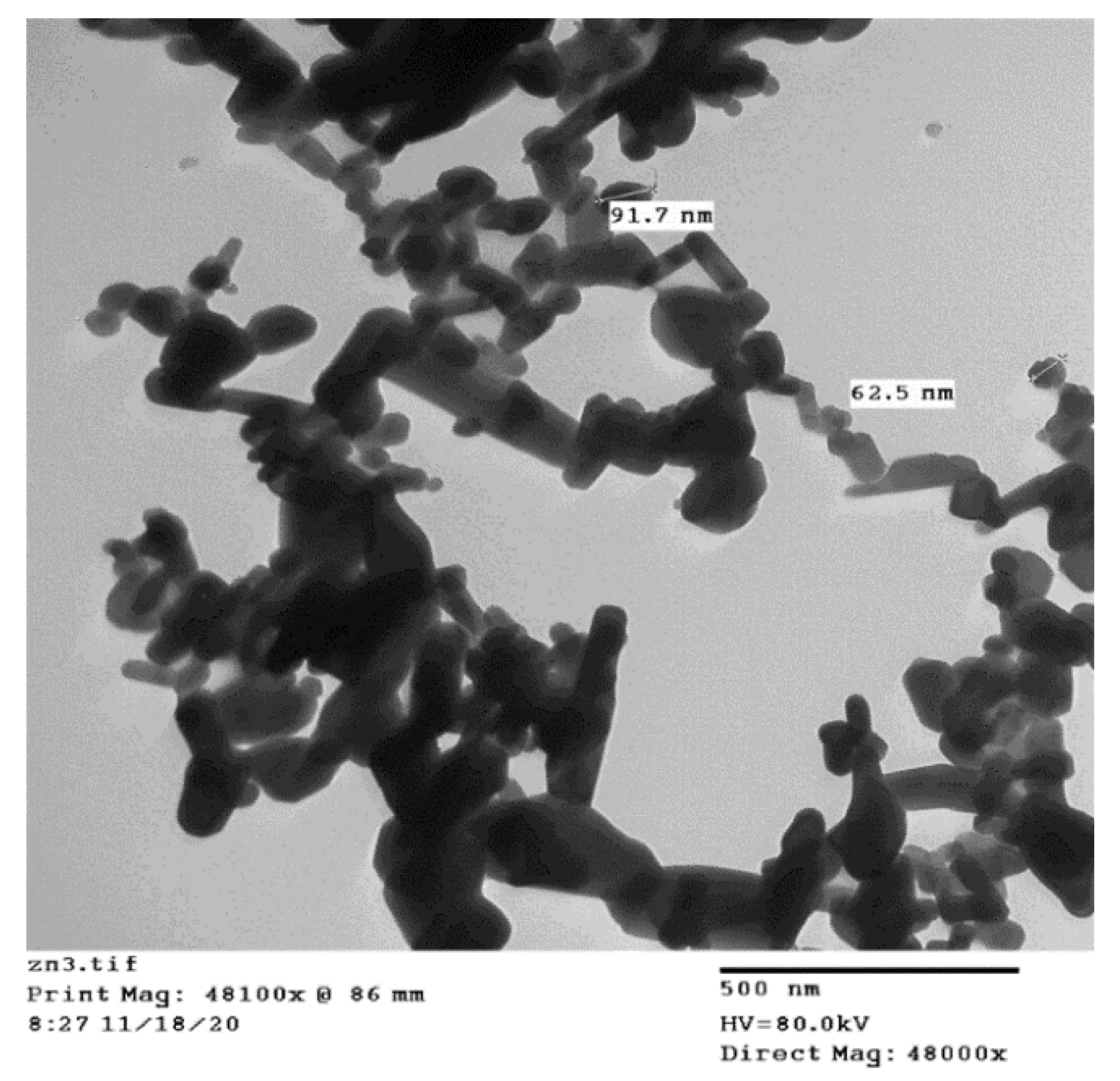 Plants 10 02400 g006