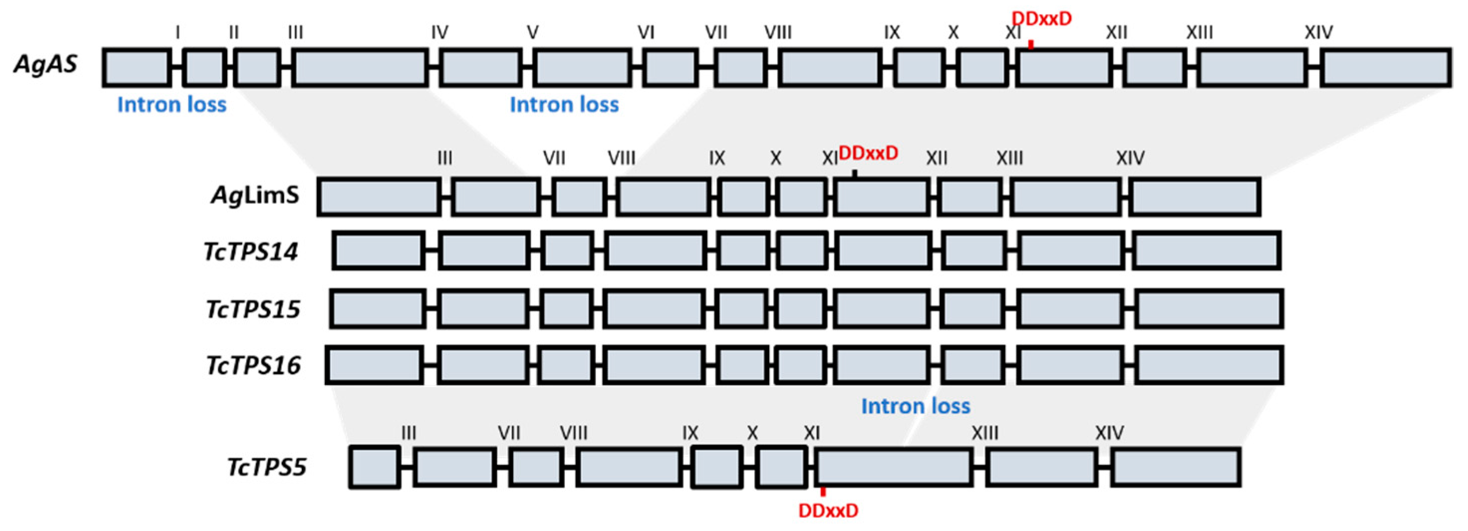 Plants 10 02404 g001