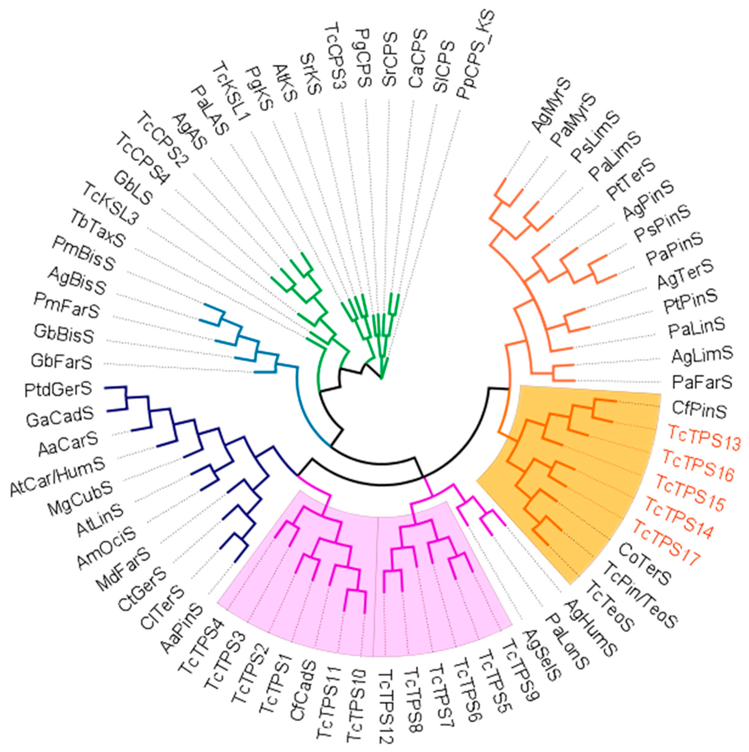 Plants 10 02404 g002