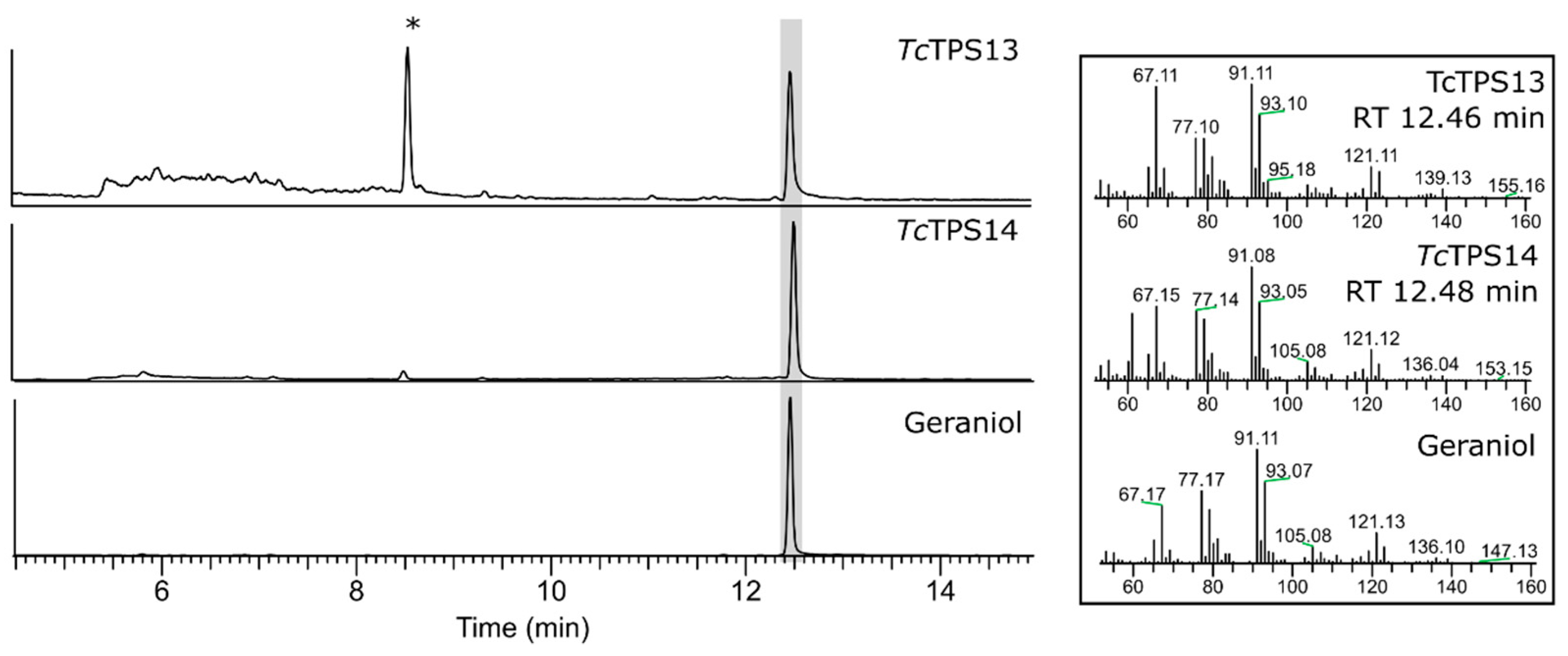Plants 10 02404 g003